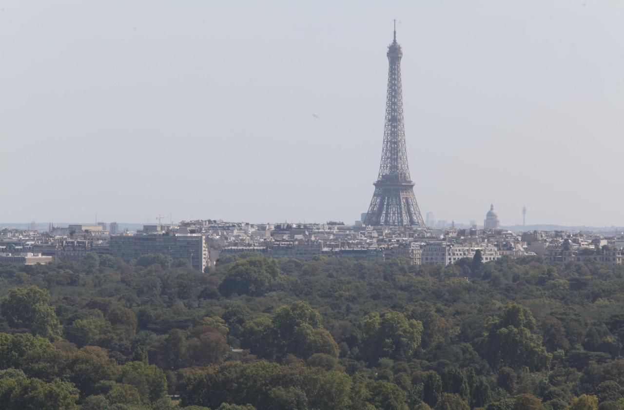 Le territoire parisien compte quelque 600 000 arbres de 800 essences différentes. Ici, le bois de Boulogne. LP/Olivier Boitet