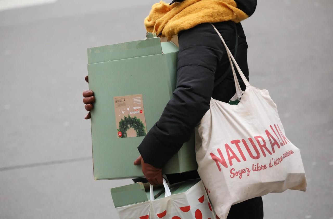 Télétravail, congés, absence scolaire... le Conseil scientifique prône «l'auto-confinement» avant les fêtes