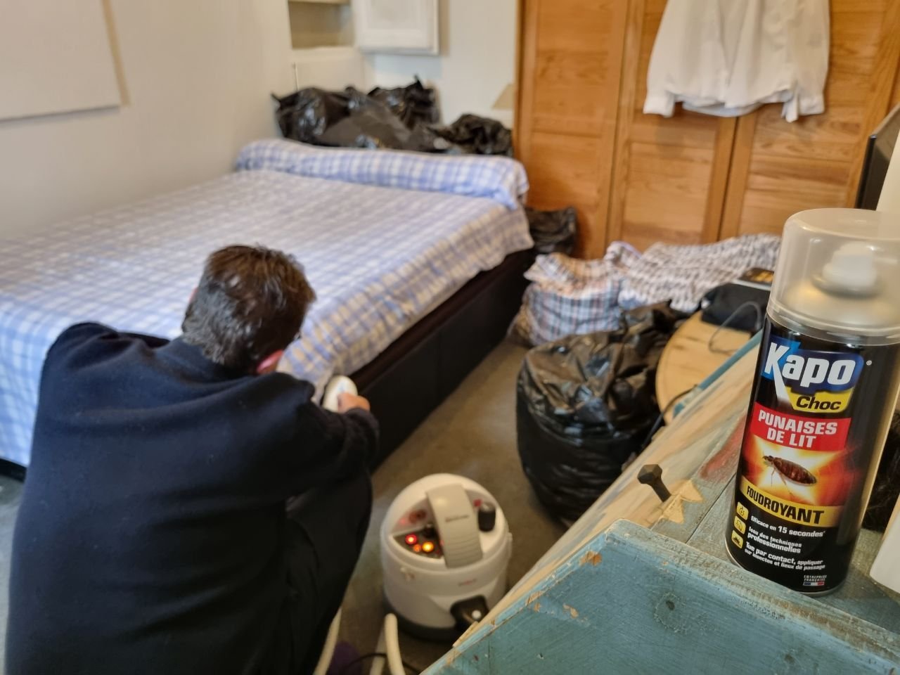 Invasion de punaises de lit dans le Marais : l'appartement non traité de la  Ville fait vivre un cauchemar aux habitants - Le Parisien