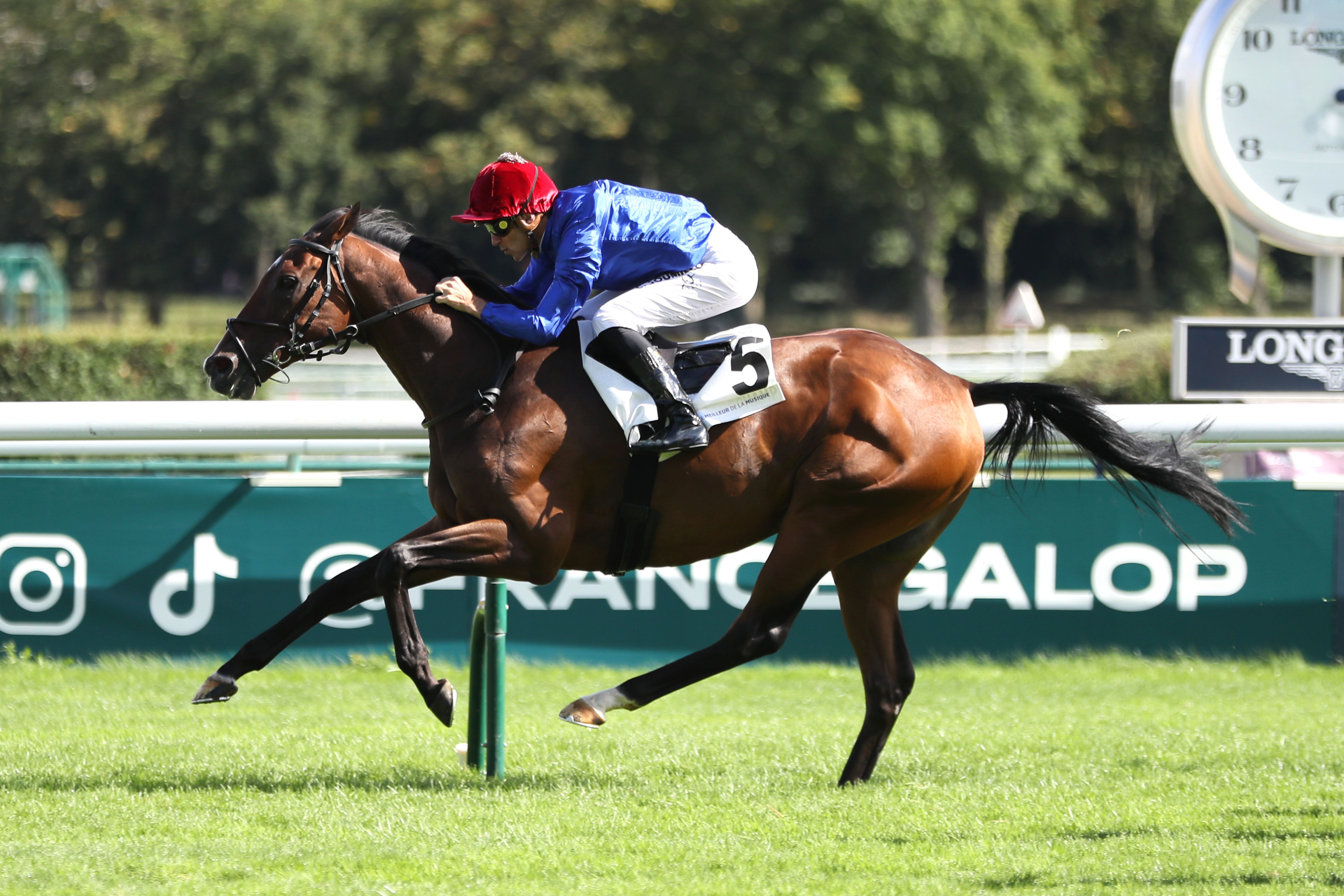 ParisLongchamp (XVIe), le dimanche 08 Septembre 2024. Animateur, Monty (n °5) a gagné en force, s'offrant un deuxième quinté à 9 ans. ScoopDyga.