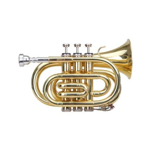 Trompette Sib Roy Benson TR-101 - Music centre