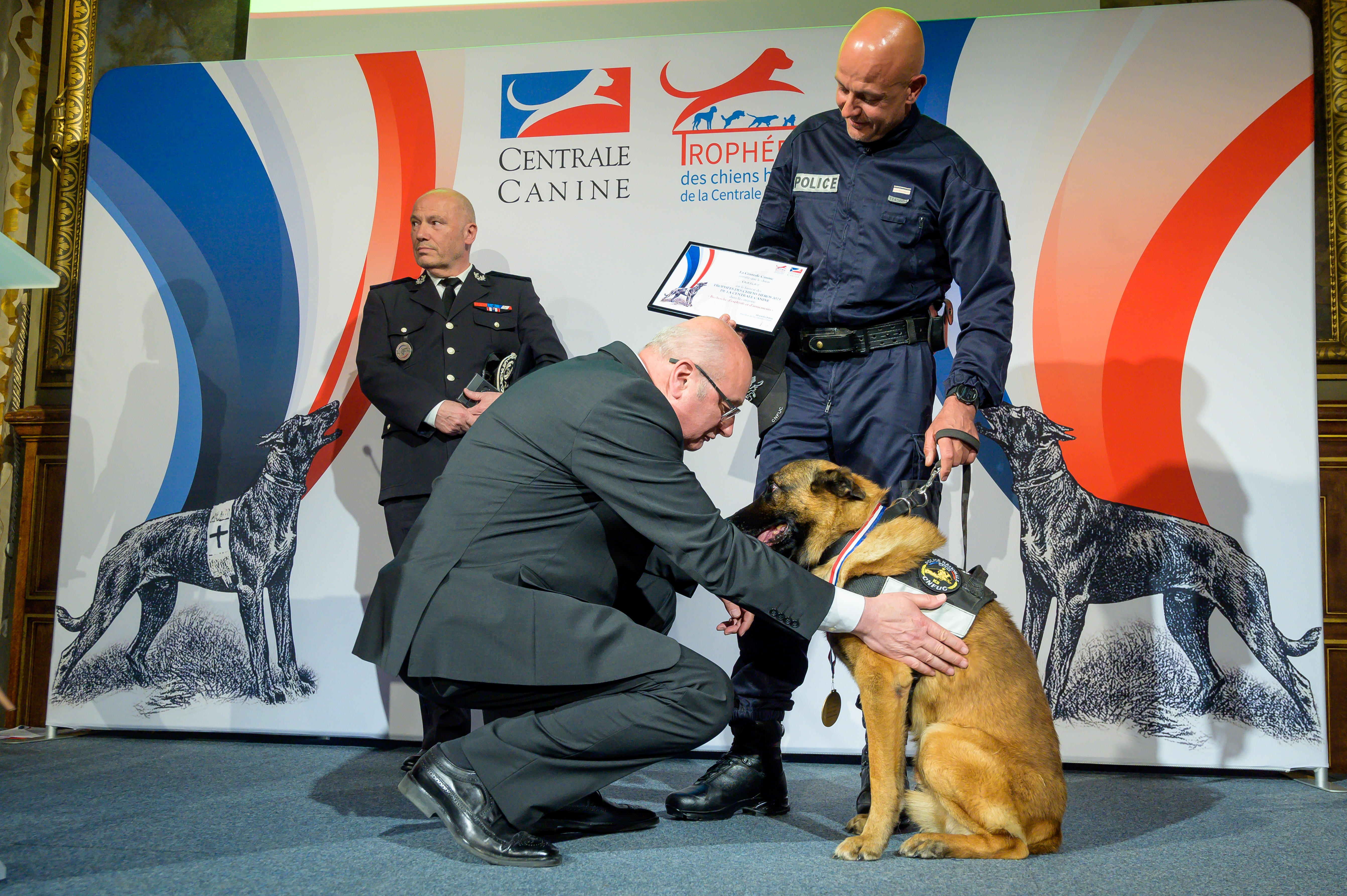 Fairplay, berger malinois de 12 ans, conduit par Yann Orlowcizc a remporté un prix lors du Trophée chiens héros de la Centrale canine.