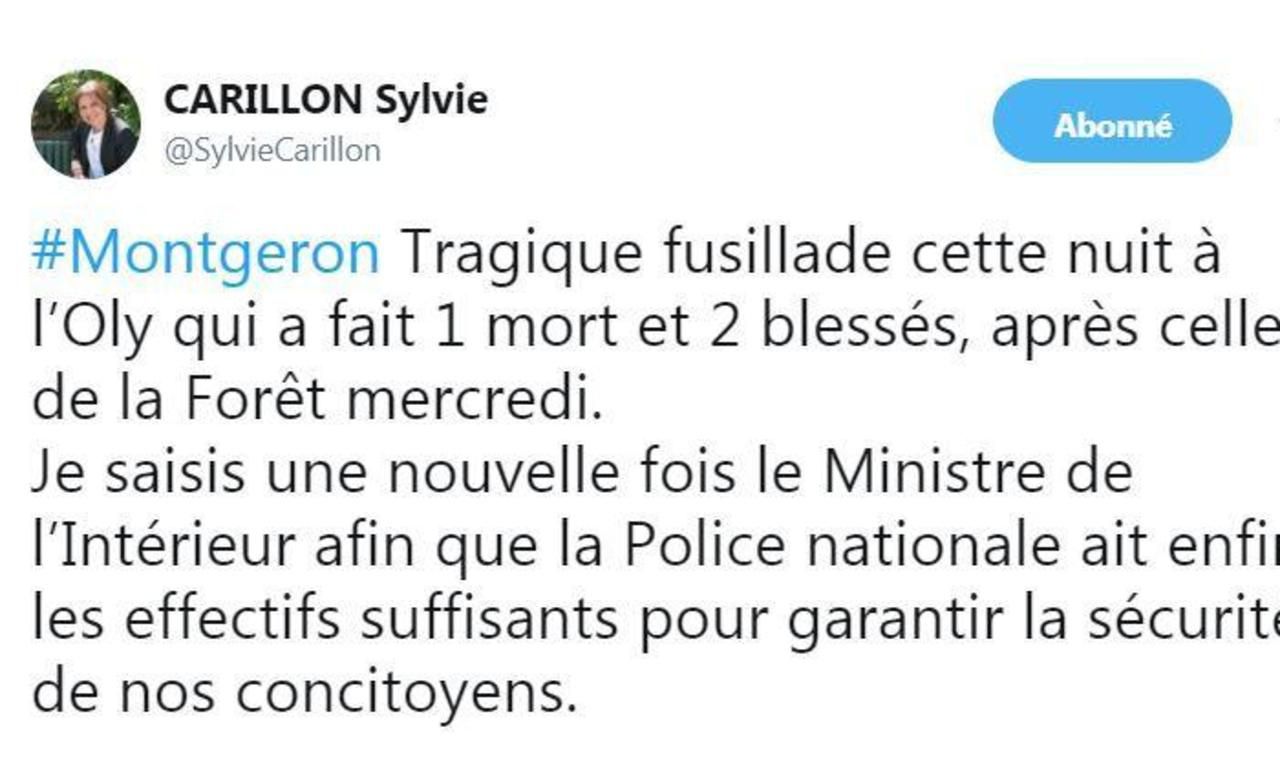 <b></b> Sylvie Carillon a une nouvelle fois interpellé le ministre de l’Intérieur ce vendredi. 