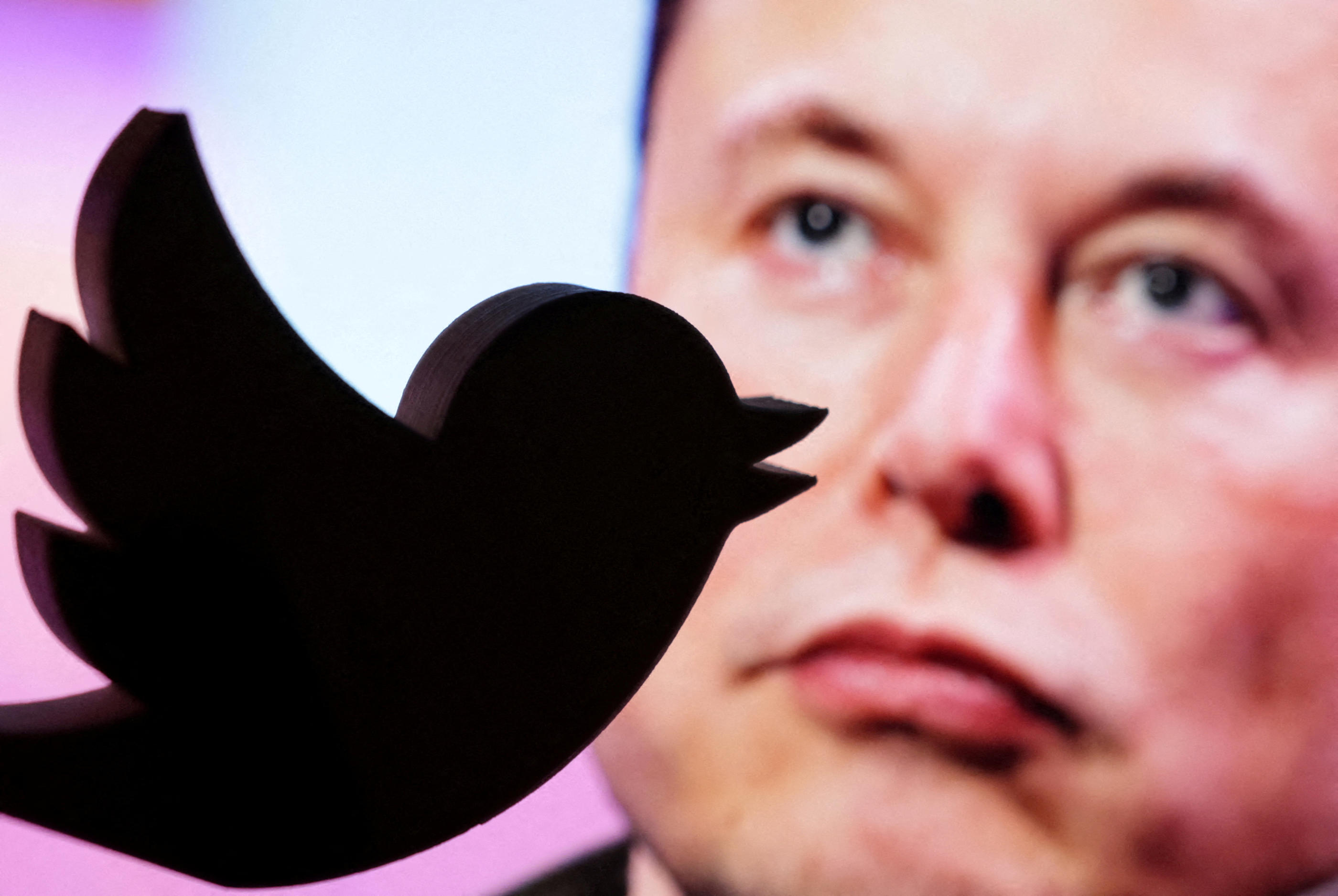 Elon Musk avait mis au vote sa démission du poste de PDG de Twitter. Reuters/Dado Ruvic