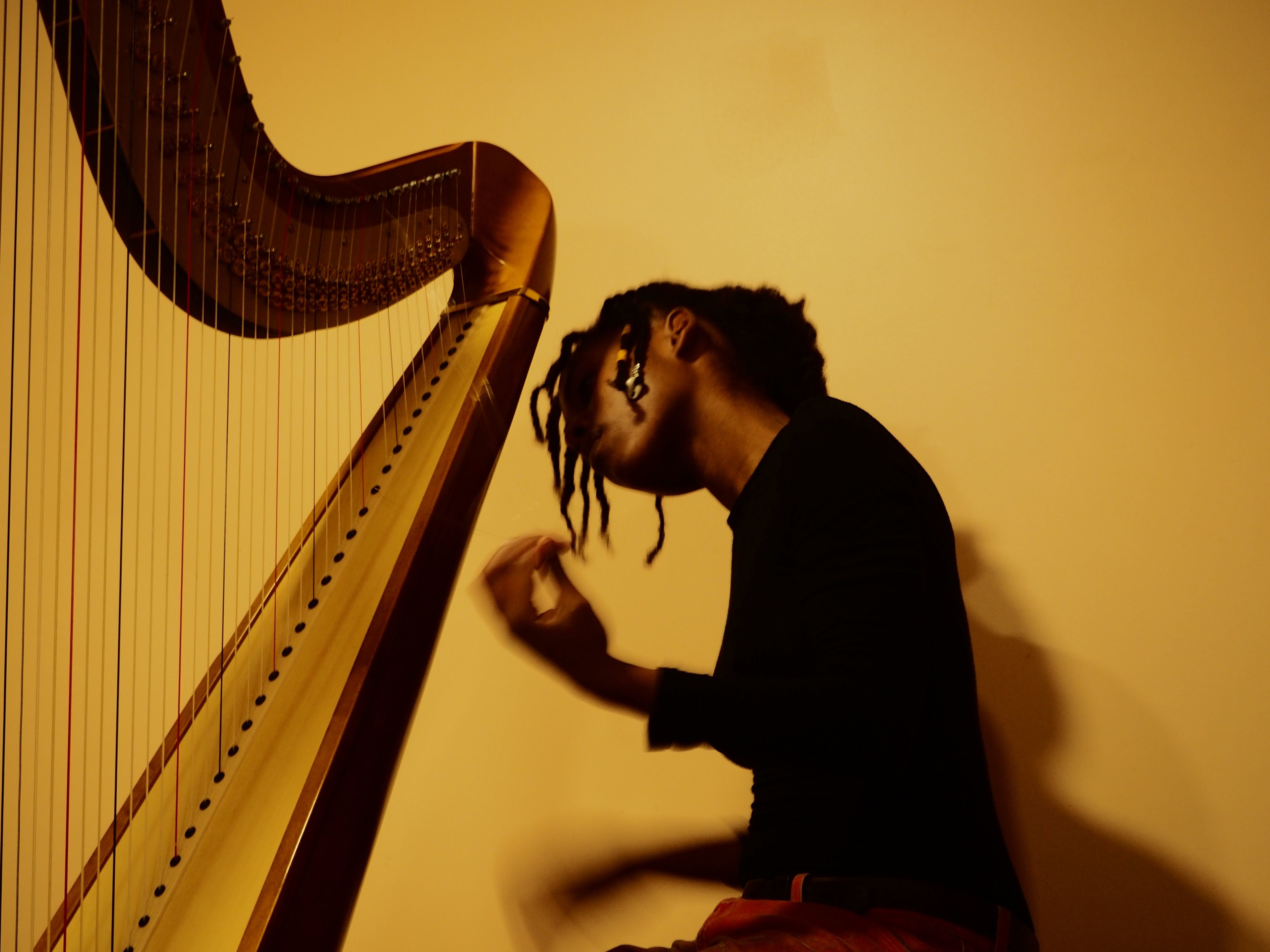 La jeune harpiste Sophye Soliveau se produira en trio, ce vendredi soir, en ouverture du festival Banlieues Bleues. Benjamin Duburcq