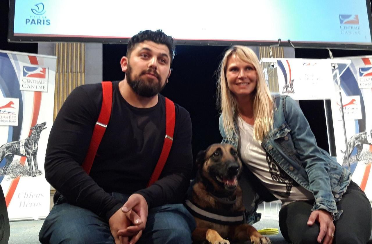 Maillot De Bain Les Animaux De La 8 Elodie Ageron La chienne Ila part à Londres pour savoir si elle peut détecter le Covid-19  - Le Parisien