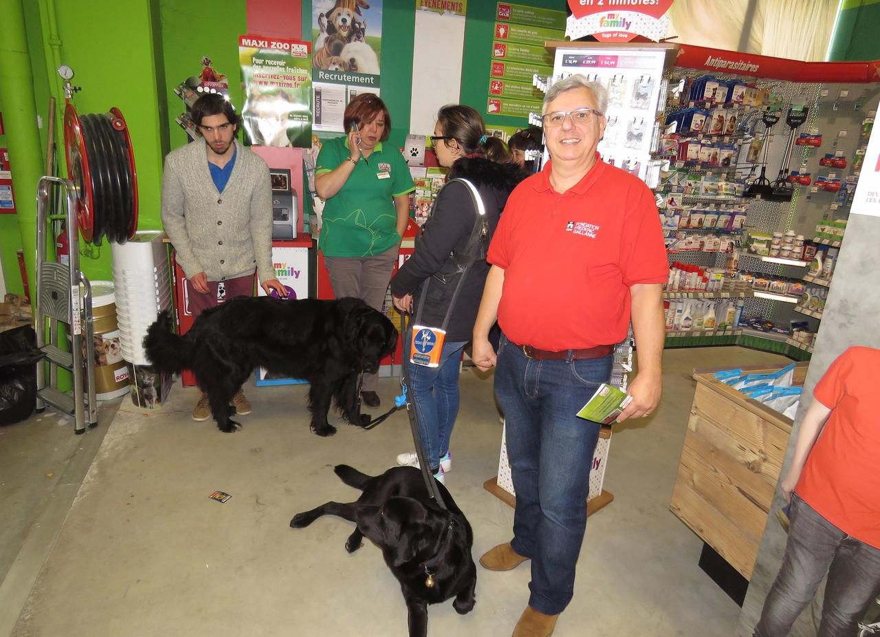 <b></b> Les Clayes-sous-Bois, le 28 octobre. La fondation Frédéric Gaillanne finance la formation des chiens guides d’aveugle.