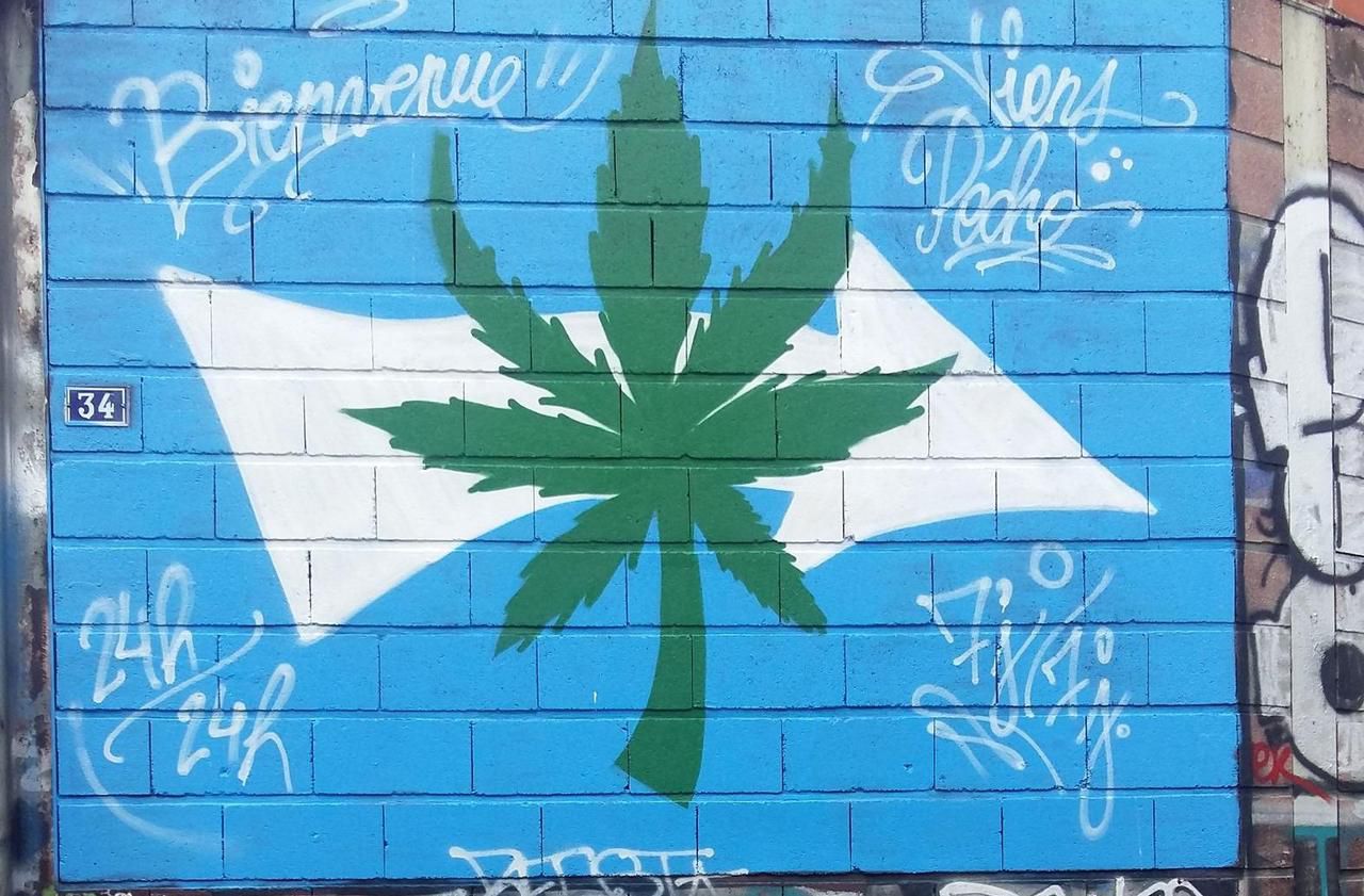 Saint-Ouen. A l'époque, la cité des Boute-en-train, haut-lieu du trafic de cannabis, affichait clairement la couleur sur ses murs. LP/N.R.