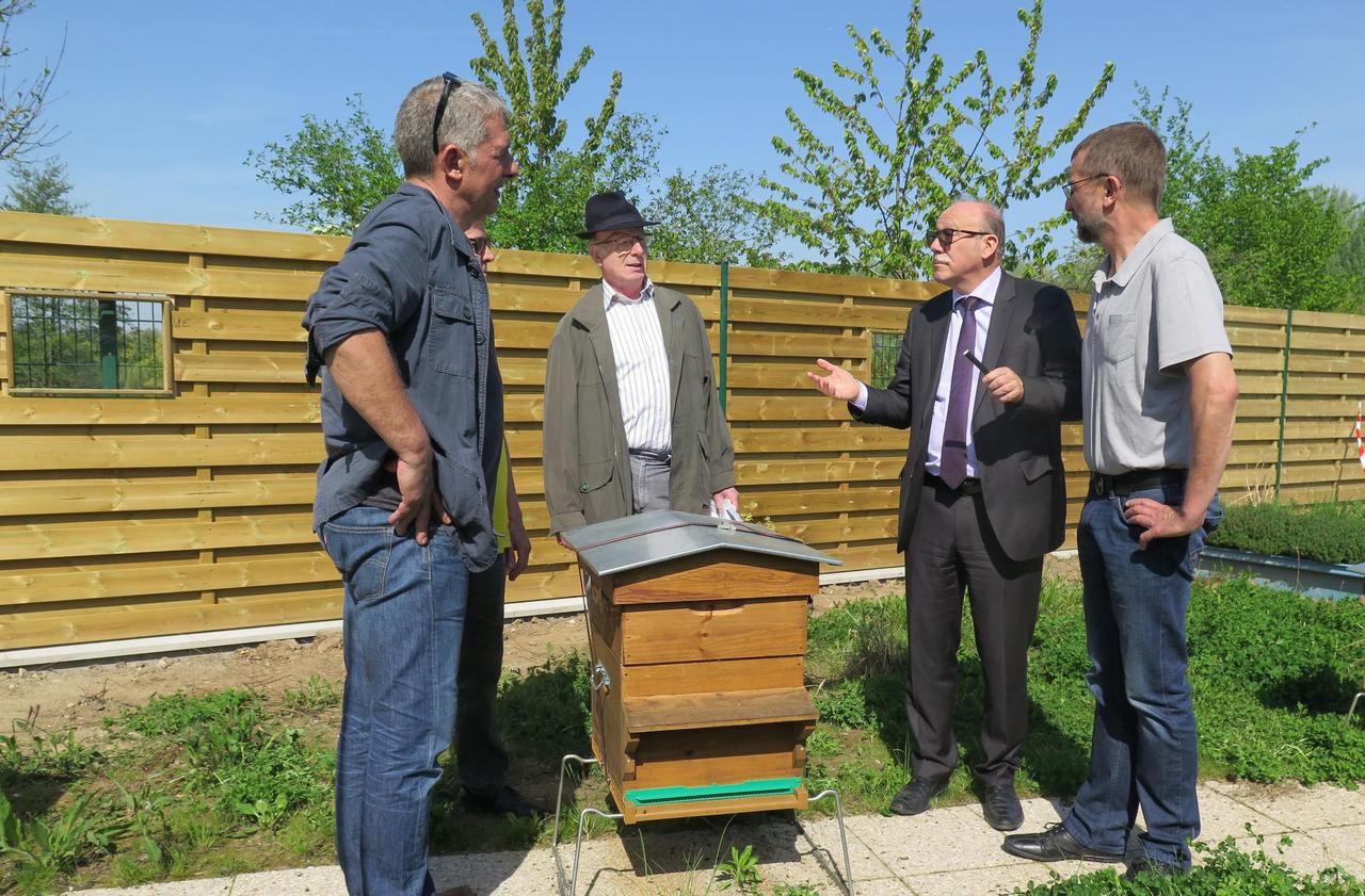 <b></b> Montataire, samedi. La commune accueille désormais des ruches à proximité des ateliers des services techniques.