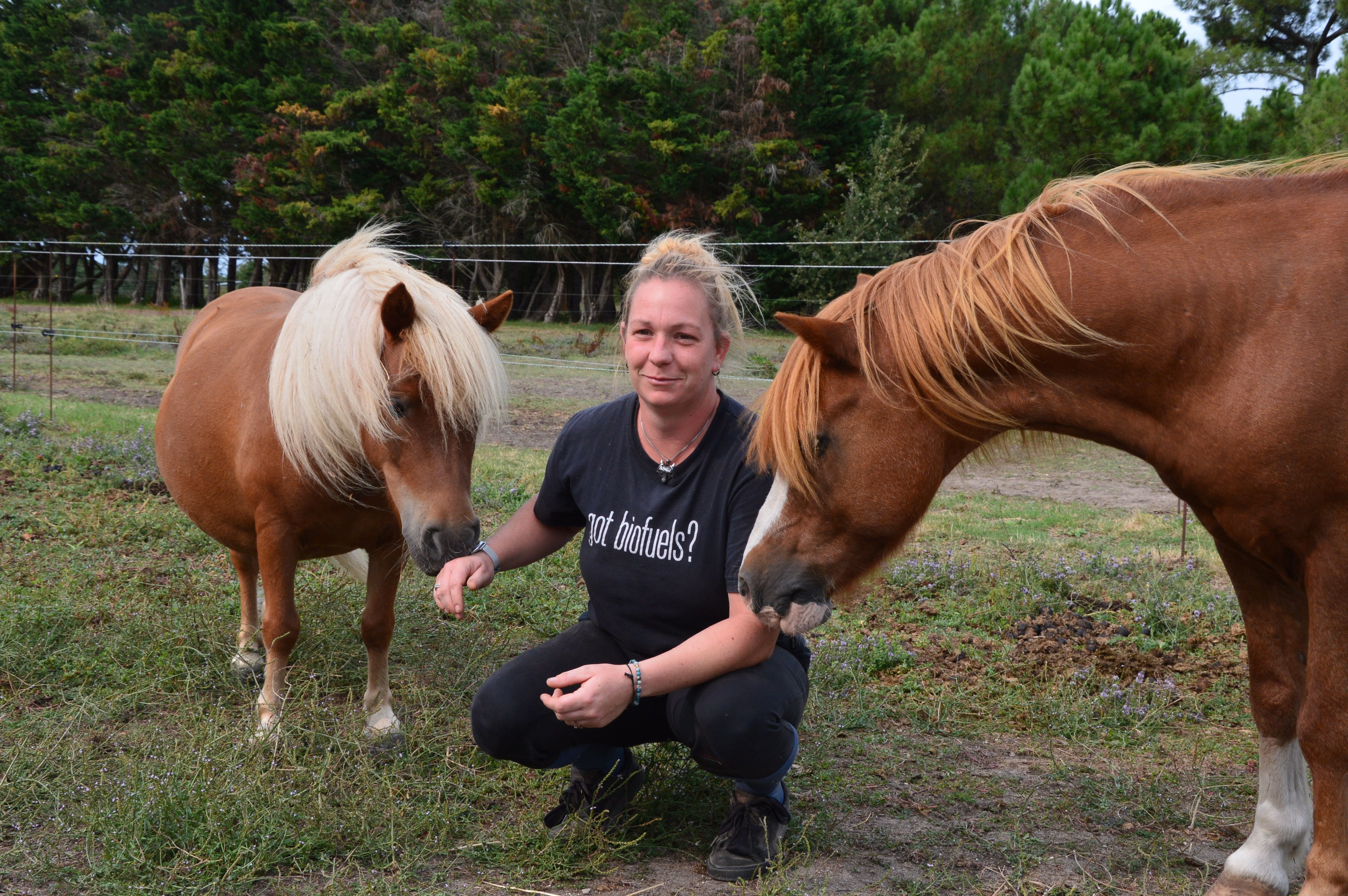 «Actuellement, nous avons beaucoup de chevaux. Nous espérons pouvoir passer sur des contrats à temps plein», souligne Eurydice Gaurier, palefrenière à l’APAC 17, dans l’île d’Oléron. LP/Amélia Blanchot