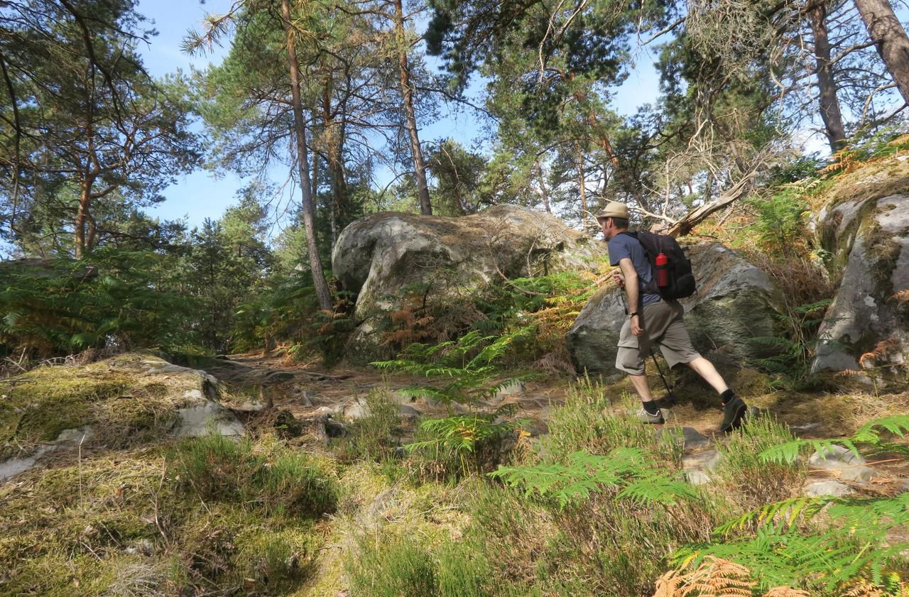 <b></b> La forêt de Fontainebleau, une étape au relief accidenté où les sentiers sinueux jouent avec le chaos rocheux.