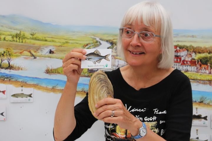 Marseille (Bouches-du-Rhône), mercredi 8 septembre. Marie-Paule Duflot, membre de France Nature Environnement 77 depuis cinquante ans, a été repérée par son association avec ce jeu sur la vie des poissons qu'elle a inventé. Elle le présente au congrès mondial de la nature. FNE/Alexis Vannier