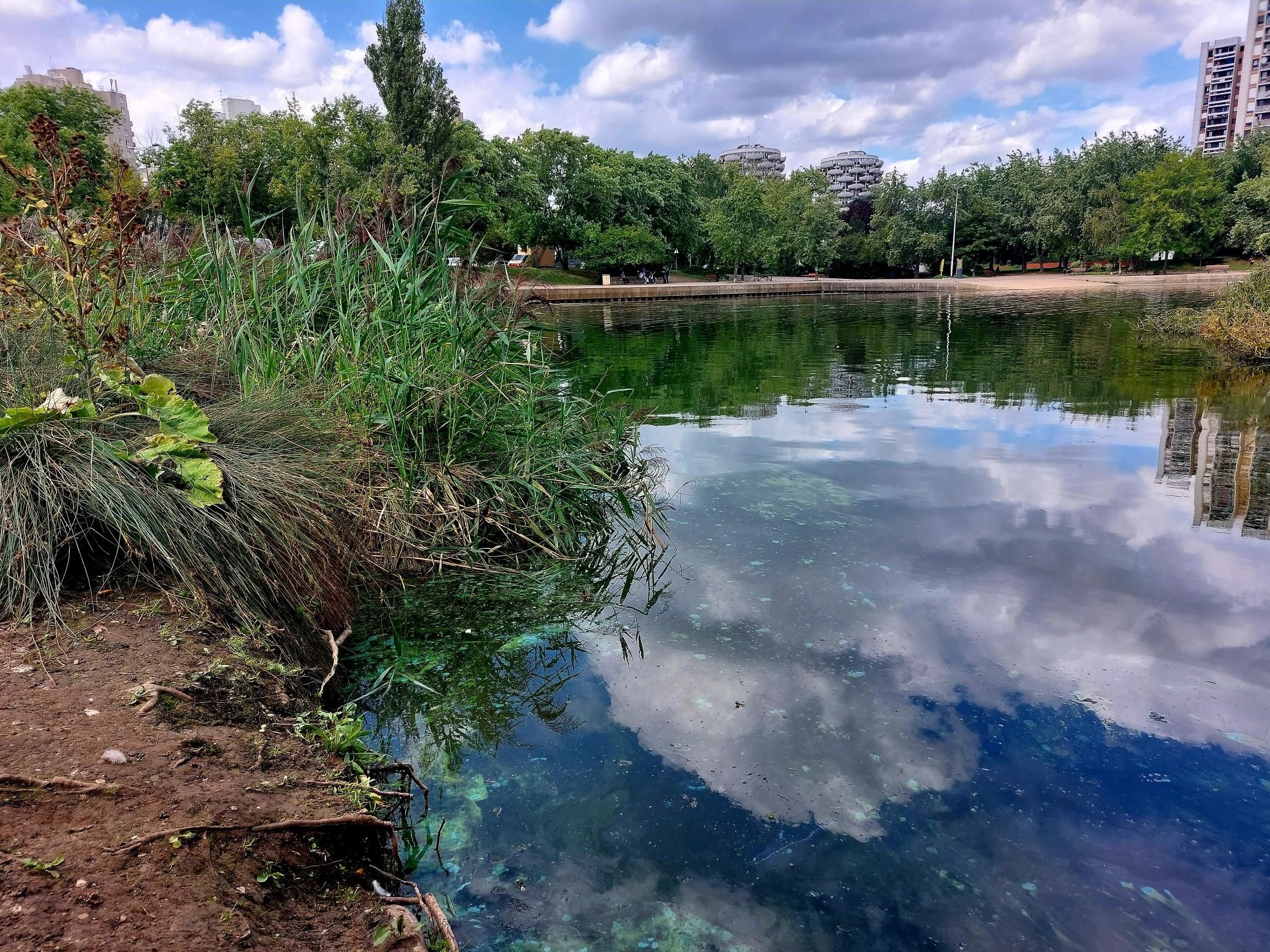 Lac de Créteil (Val-de-Marne), 14 août 2023. Le site est à nouveau confronté à la présence de cyanobactéries, ici de couleur turquoise. Les activités nautiques qui peuvent conduire à une immersion dans le lac comme le paddle ou la planche à voile sont suspendues. Les autres activités sont maintenues. LP/Fanny Delporte