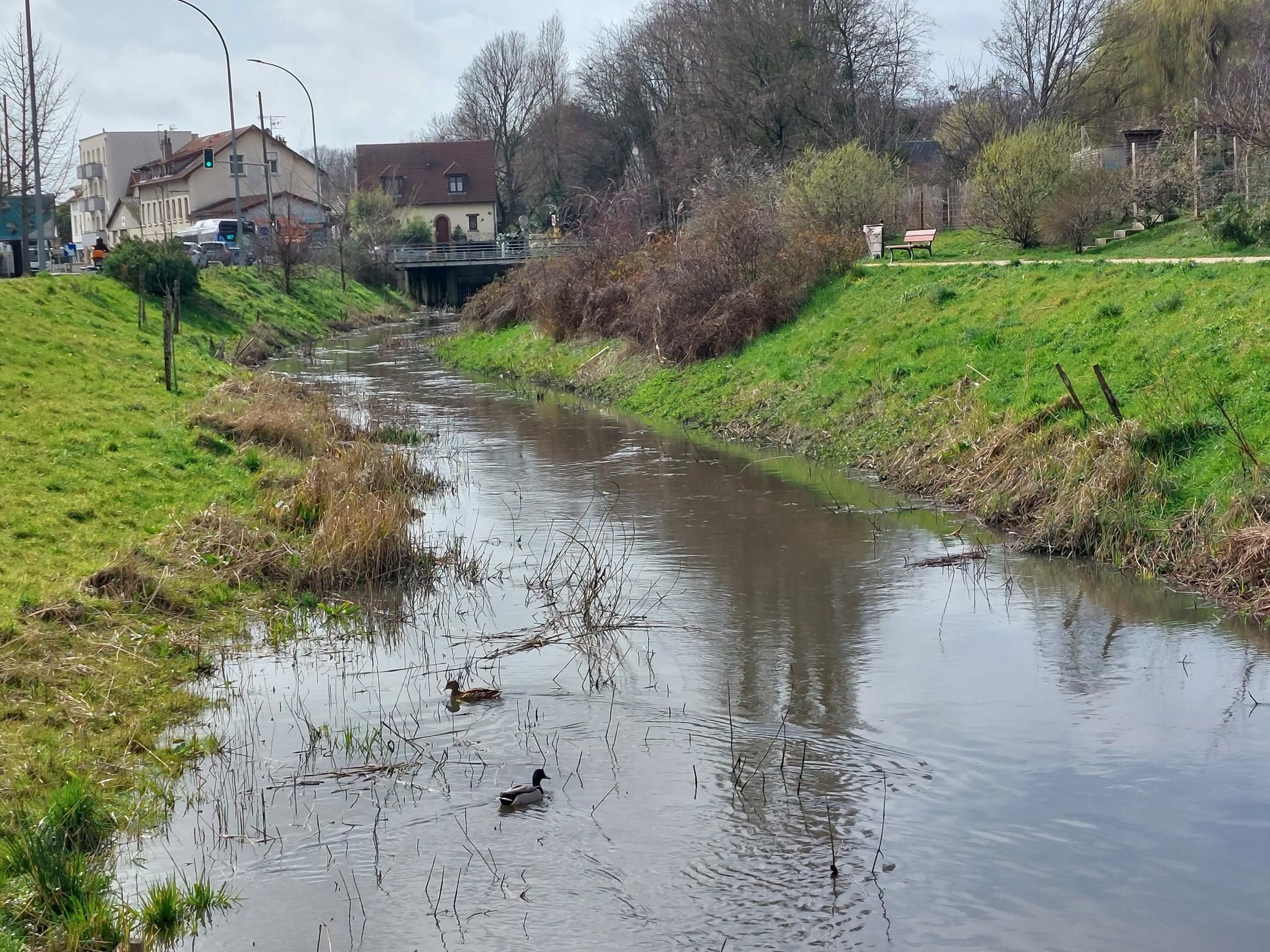 L'Haÿ-les-Roses, jeudi 9 mars 2023. La pollution détectée en surface de la Bièvre le 1er mars rappelle celle de mai 2022 peu ou prou dans le même secteur. LP/Gérald Moruzzi