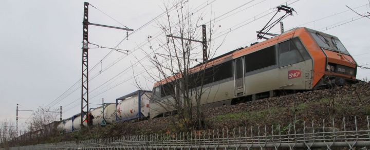 Illustration. La victime a rebondi sur un train de marchandises qui entrait en gare avant de retomber lourdement sur les quais. LP