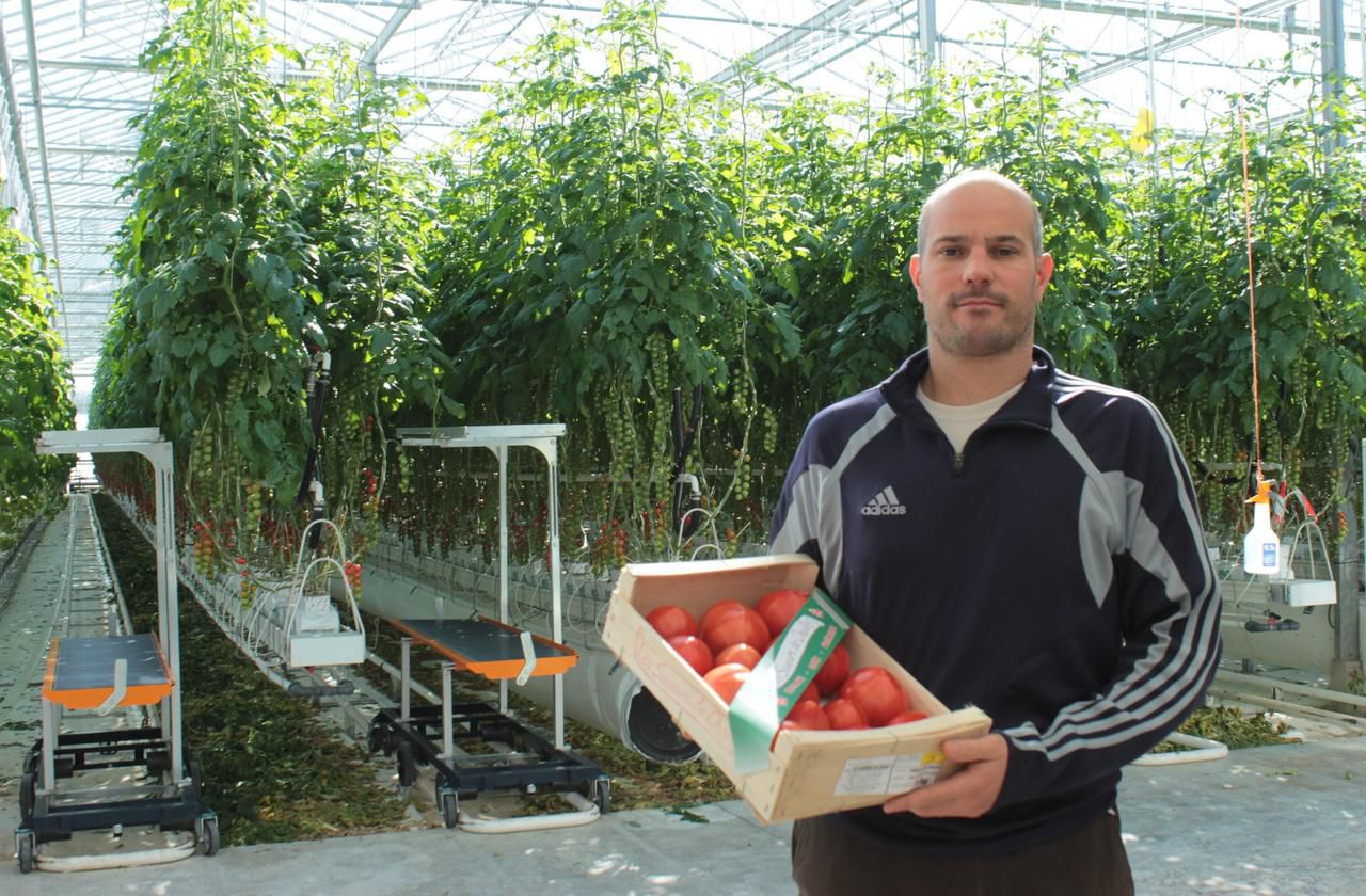 <b></b> Benjamin Devos, maraîcher et président du carreau des producteurs franciliens de Rungis, s'inquiète de l'absence de débouchés de ses fraises et tomates causée par la suspension des marchés. 