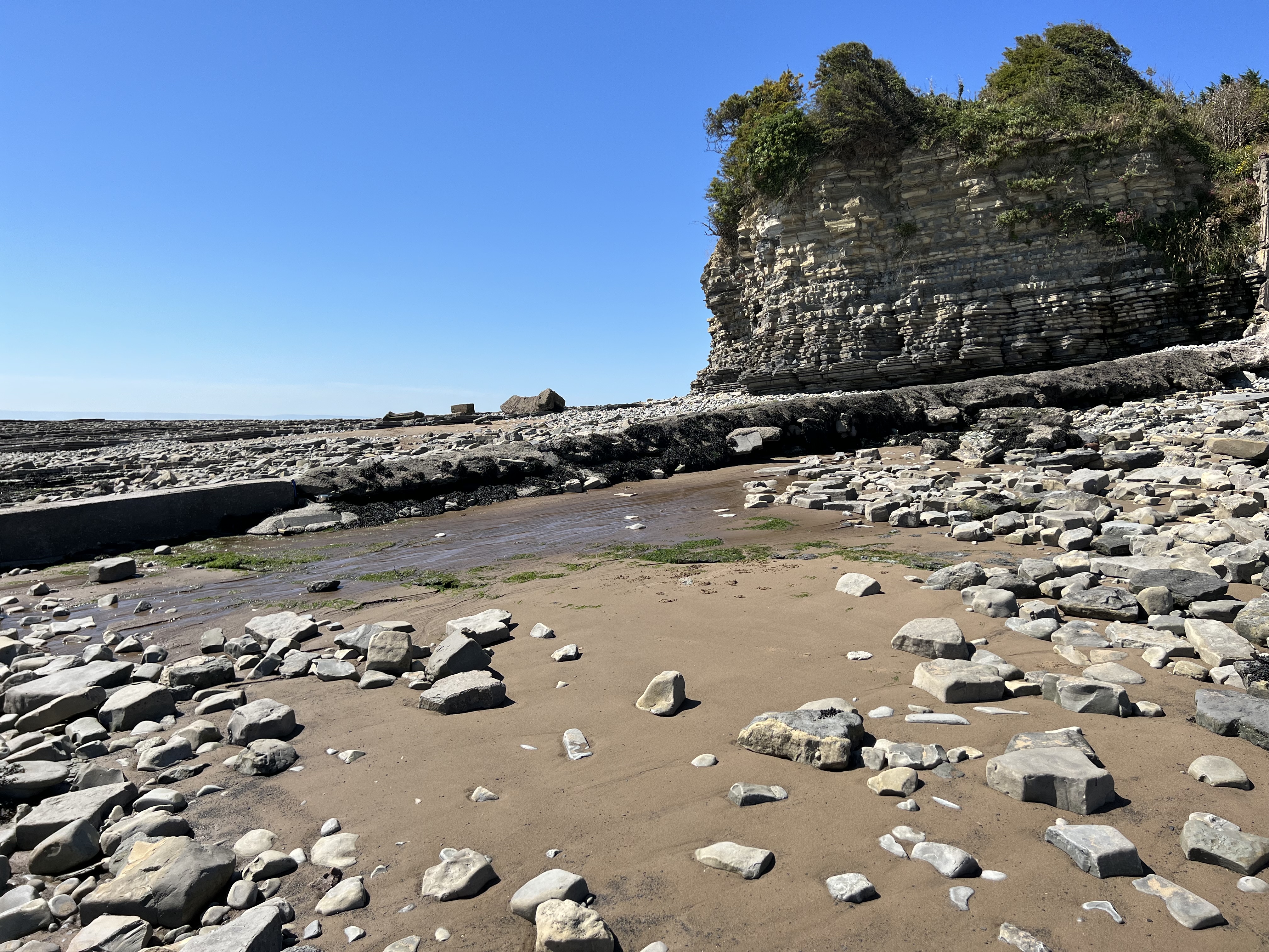 La découverte s'est faite sur une plage au sud de Cardiff, dans le pays de Galles. Wikimedia Commons/Ferdi2005