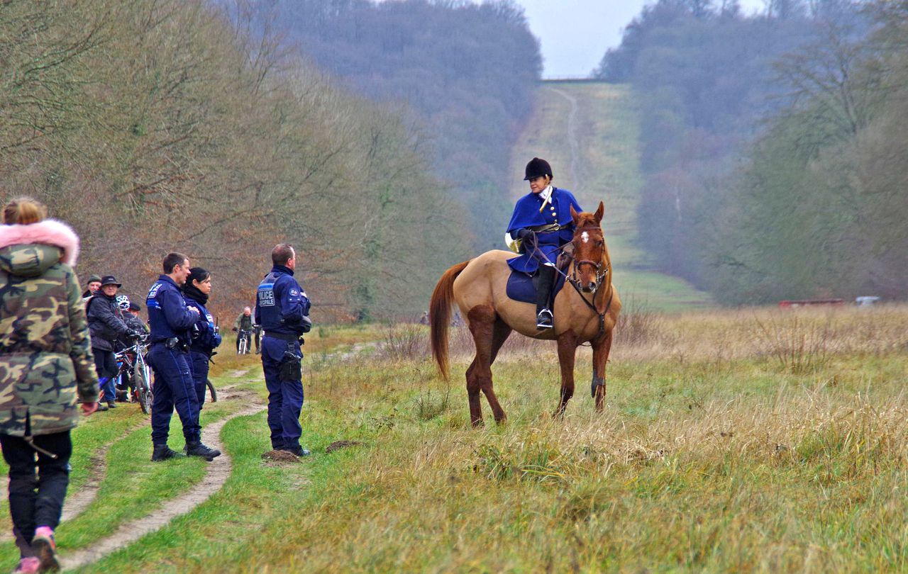 <b></b> Compiègne, janvier 2018. Depuis plus de deux mois, plus aucune chasse ne se passe sans que les membres du collectif Ava ne soient présents, aux côtés des veneurs.