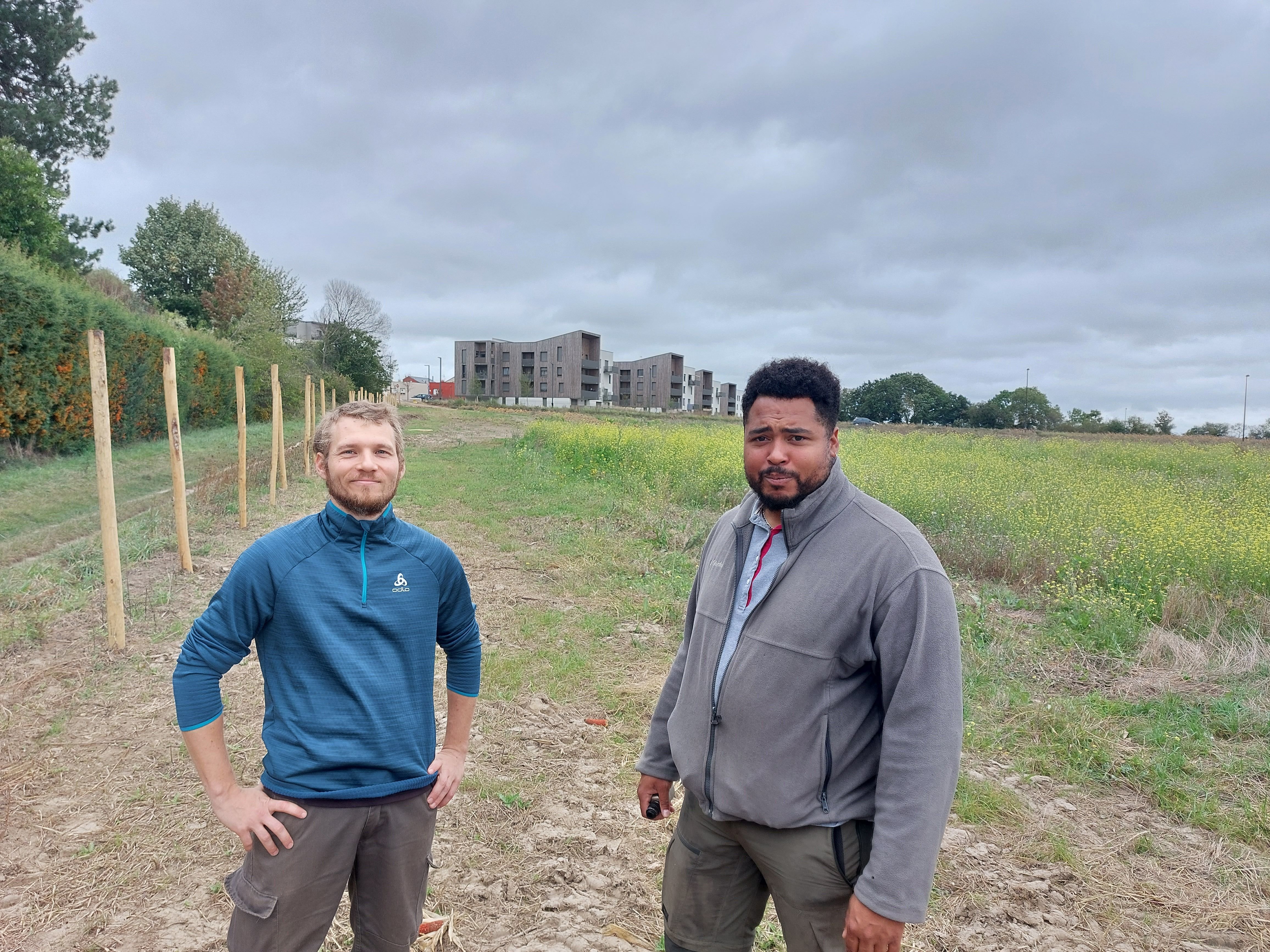 Epinay-sur-Orge (Essonne), le 29 septembre 2023. Vincent Martinez  et Maxence Vamur (de gauche à droite) sont en train de s'installer en tant que maraîchers bios de la ville. Une des communes adhérentes au Triangle vert. LP/C.CH.