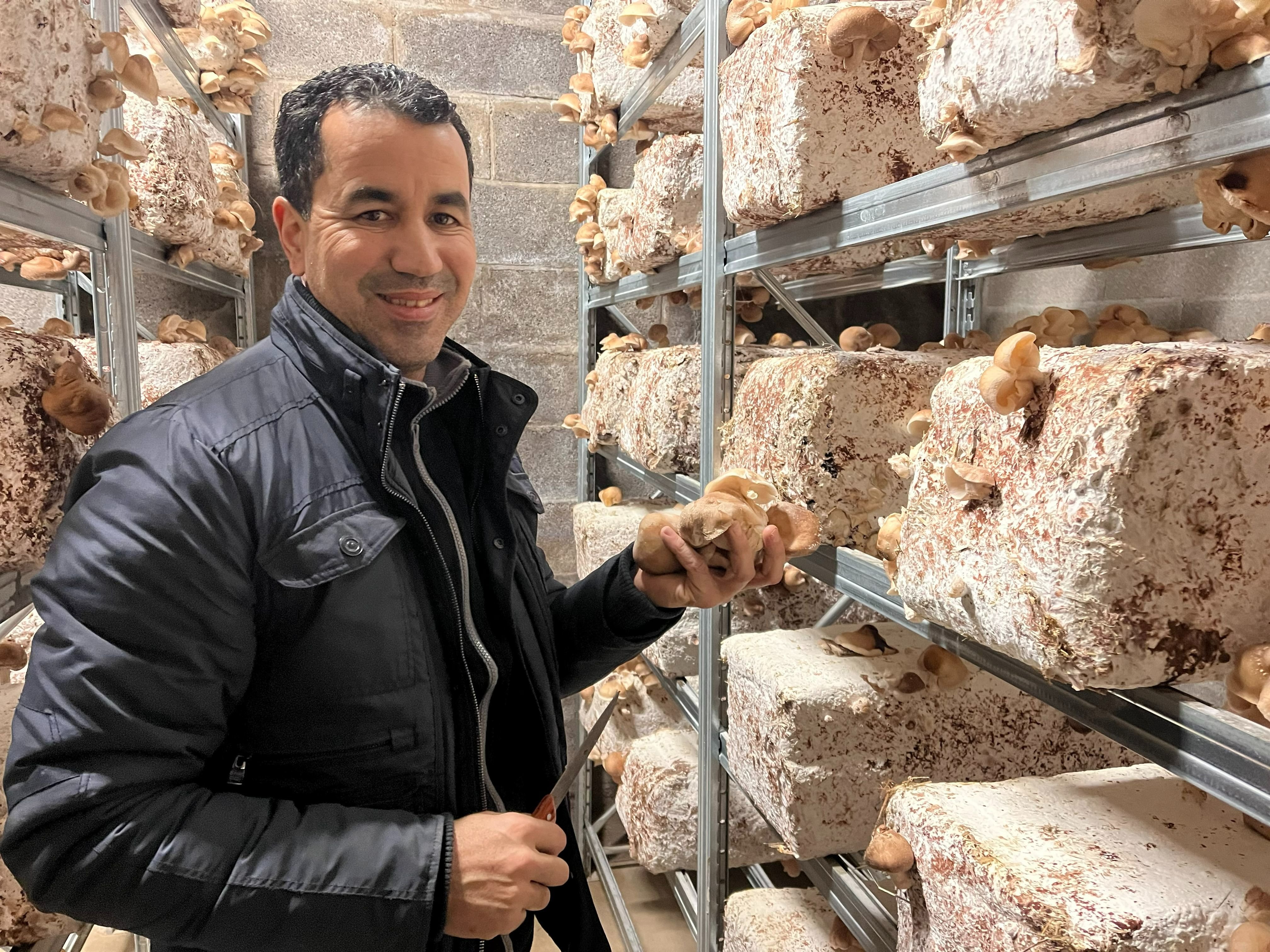 Marcoussis, ce mercredi. «Ici, les champignons se développent très vite. En dix jours, nous pouvons faire la première récolte», confie El Houssain Senhaji, encadrant technique maraîchers. LP/Nolwenn Cosson