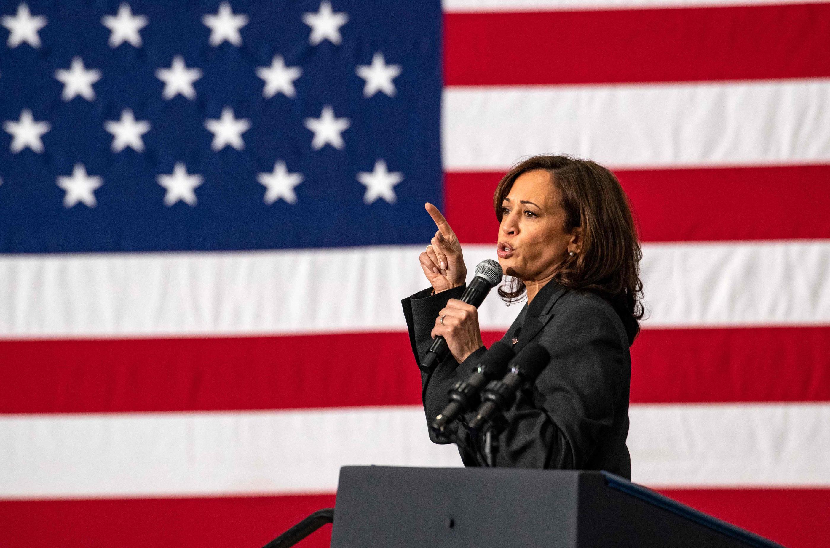 Le Parti démocrate va choisir, dès ce mercredi, les règles de nomination du candidat qu’il intronisera du 19 au 22 août, à la Convention de Chicago. Kamala Harris fait figure d’immense favorite pour défier Donald Trump. AFP/Joseph Prezioso