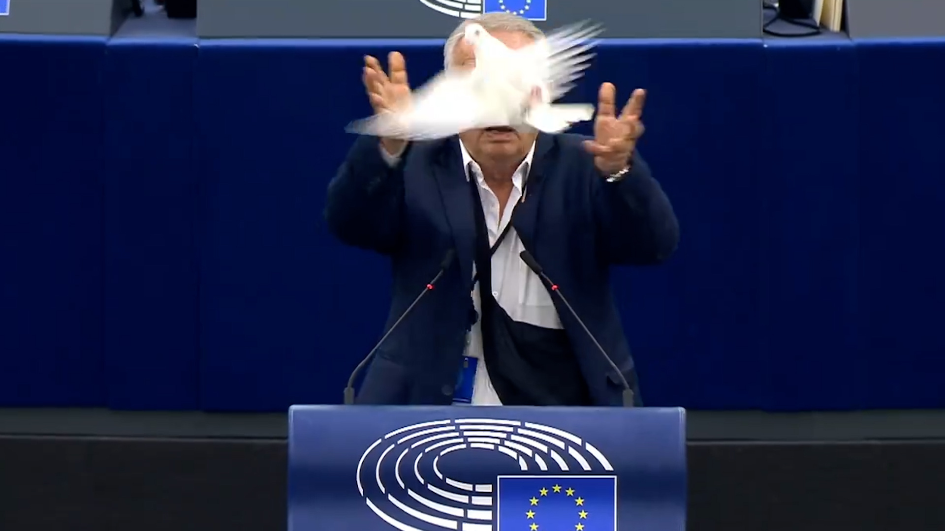 L’eurodéputé Slovaque Miroslav Radacovsky du parti d'extrême droite Slovak Patriot, a sorti une colombe de sa sacoche en plein discours au Parlement européen ce mercredi 24 avril avant de la libérer