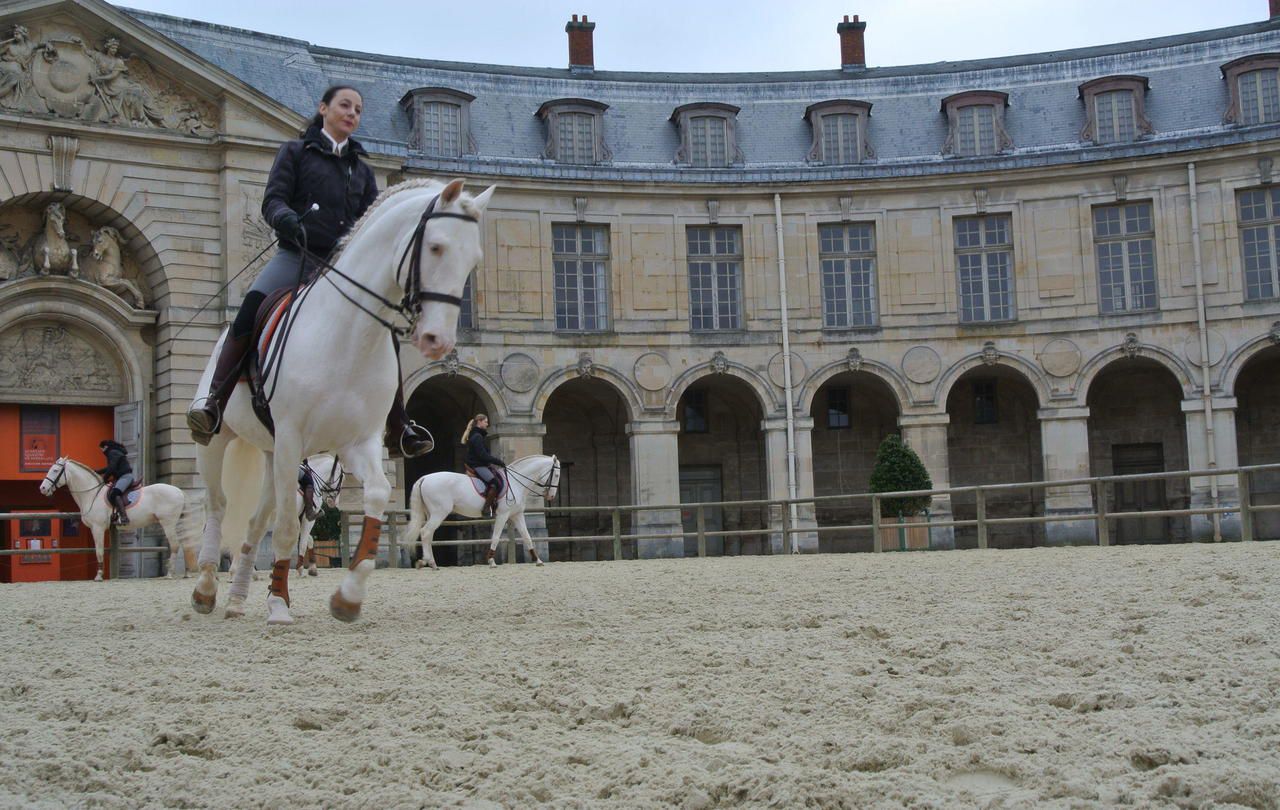 En face du château de Versailles (Yvelines), les grandes écuries ont remplacé l'ancienne installation, où se situe désormais la cour d'appel de Versailles. LP/Ju.M.