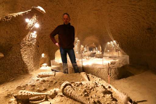 Patrice Legrand, viticulteur et propriétaire de la Cave aux coquillages ayant peuplé ce territoire voici 45 millions d'années, le 5 septembre 2016 à Fleury-la-Rivière. AFP/François Nascimbeni