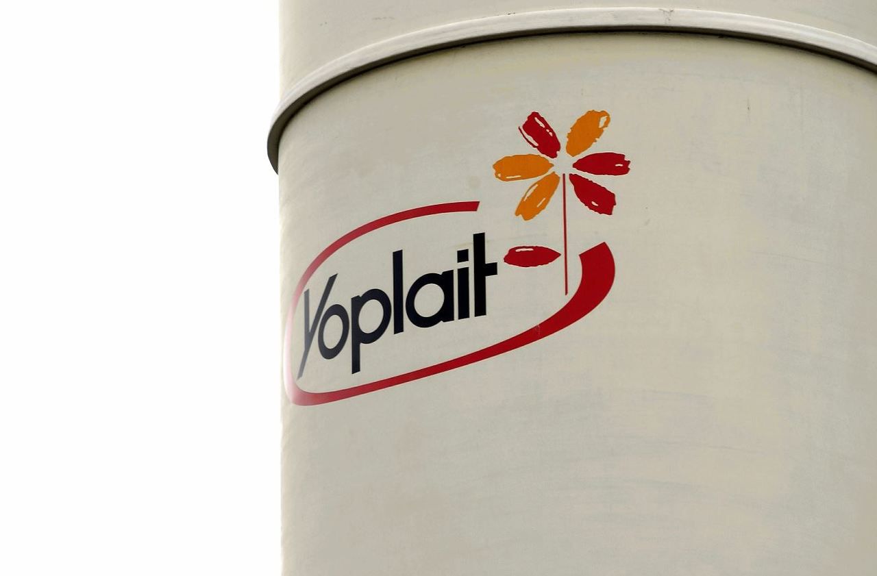 L'une des entreprises concernées par les inspections, Sodiaal, produit notamment le lait Candia et les yaourts Yoplait. LP/Olivier Arandel