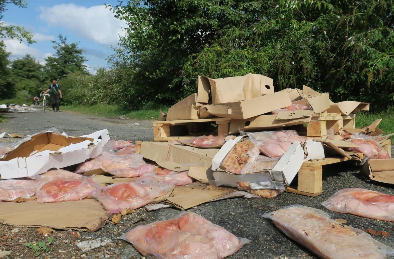 <b></b> Villers-Saint-Paul, ce mardi. Jetés au milieu du chemin, les kilos de viande avariée obstruent le passage des cyclistes ou des promeneurs.