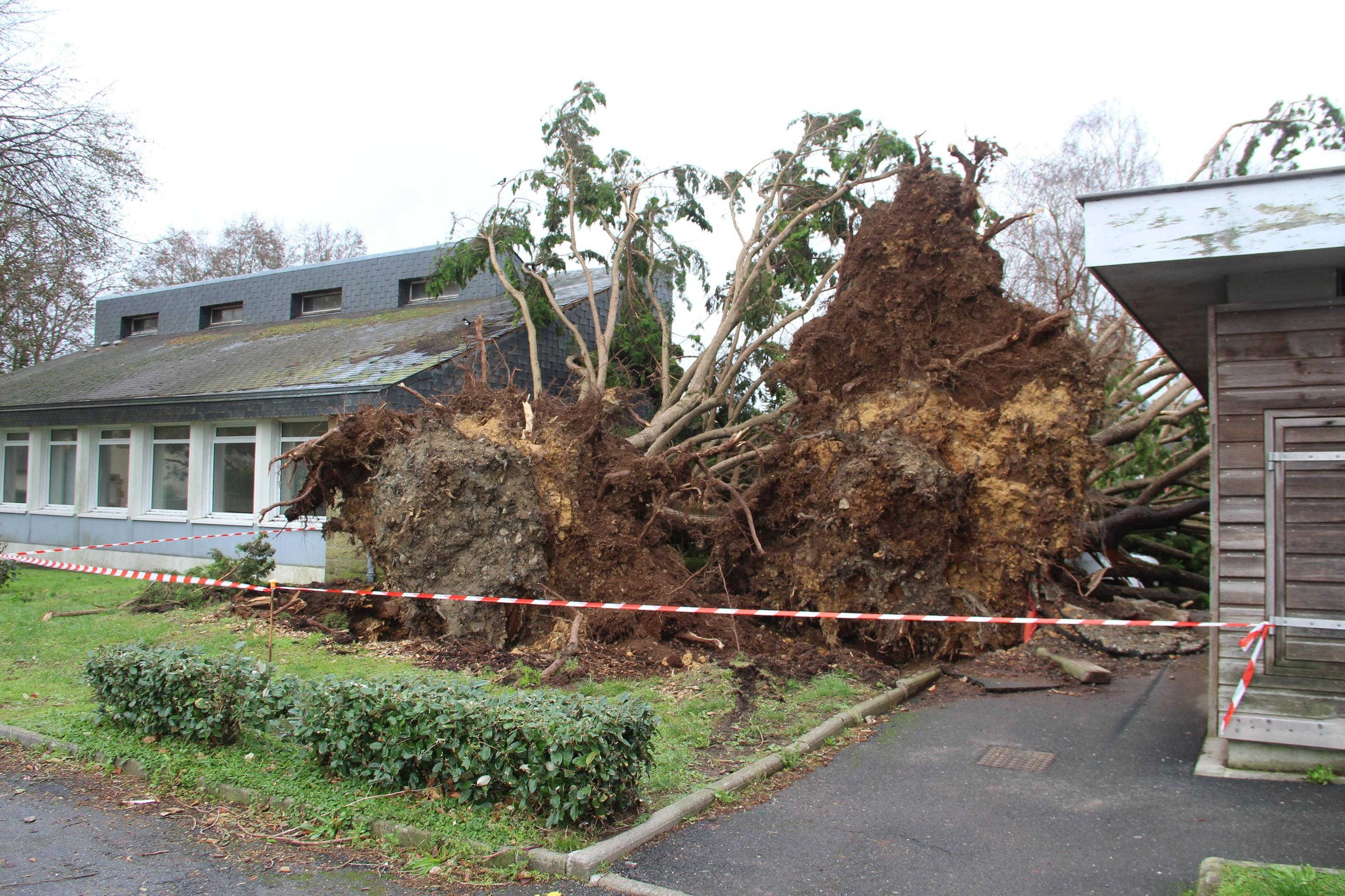 Pays de Doualas (Finistère), samedi 4 novembre. Les stigmates de la tempête sont encore bien visibles, avec notamment des arbres arrachés et des routes barrées. LP/Nora Moreau
