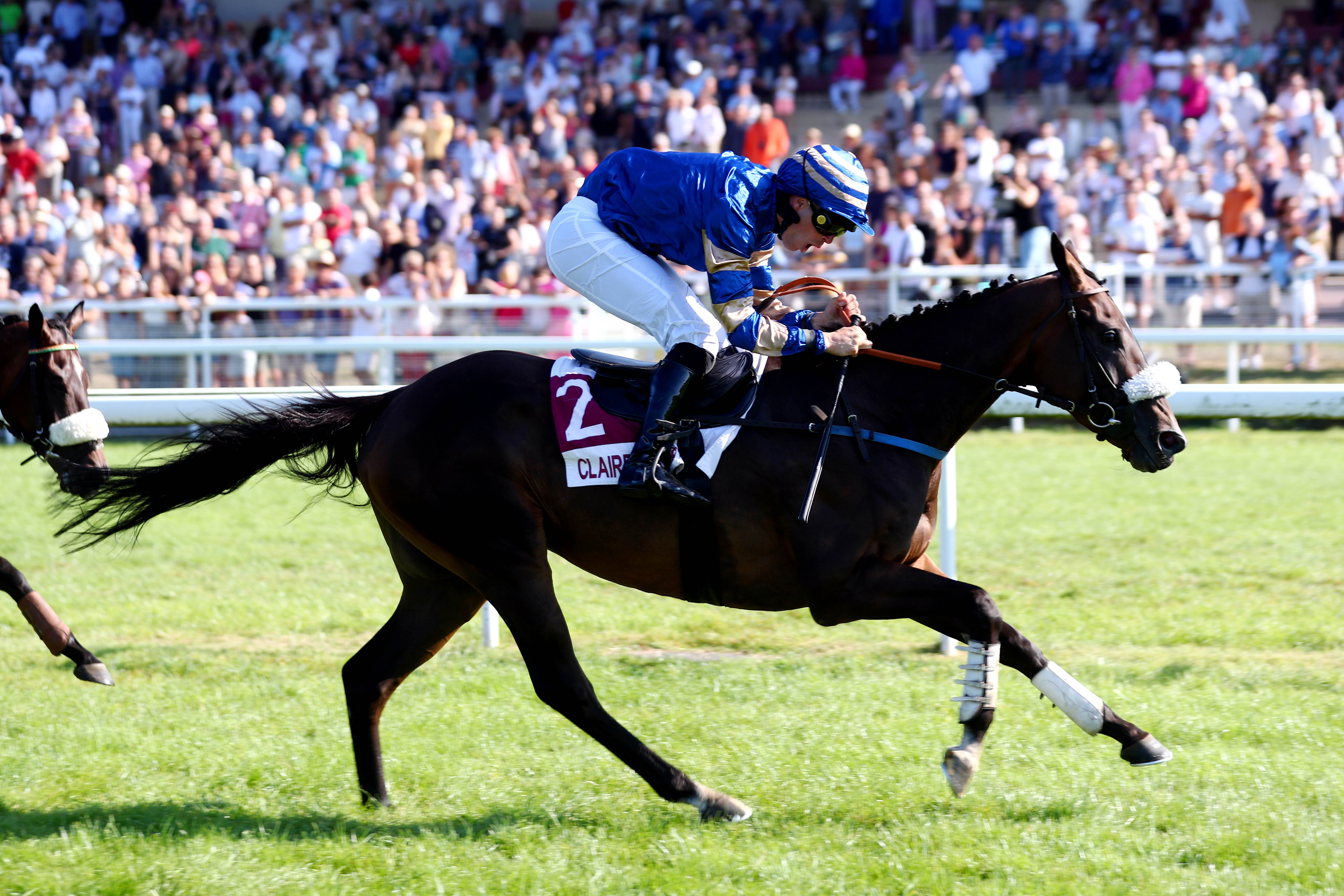 Clairefontaine (Calvados), le 5 Août 2024. Grandbat poursuit sa moisson de victoires en remportant son premier quinté, et reste désormais sur quatre succès.