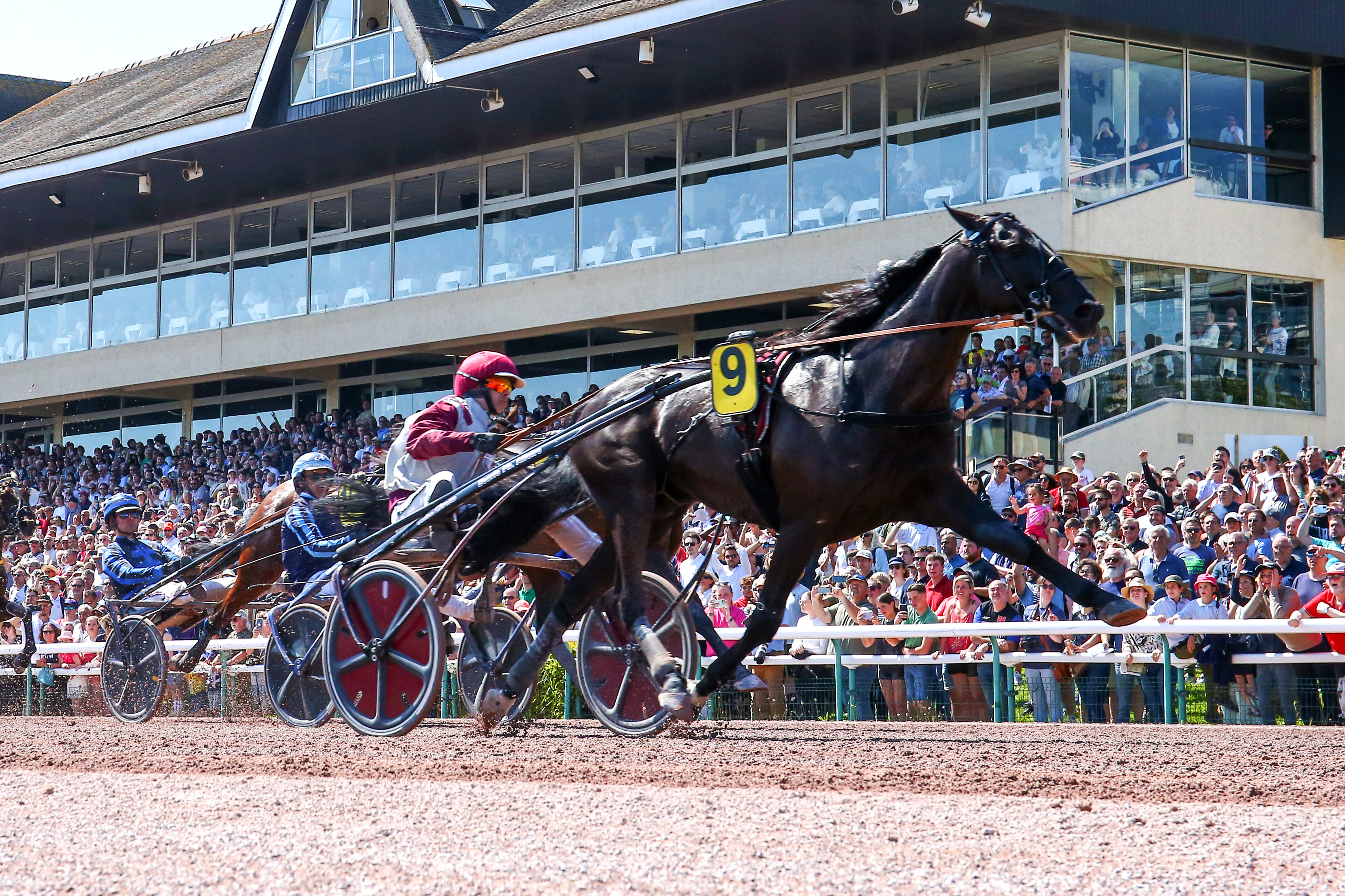 Hippodrome de Caen (Calvados), le 11 Mai. Izoard Védaquais s'impose de bout en bout dans le Prix des Ducs de Normandie (Groupe II). SCOOPDYGA - CHOURAQUI Elliott