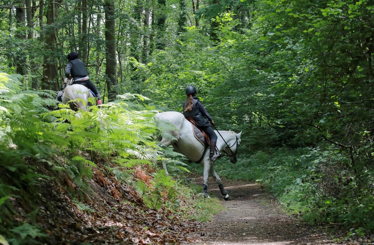 <b></b> L’Ile-de-France compte de nombreux sentiers et chemins accessibles à cheval, comme ici dans les Yvelines.