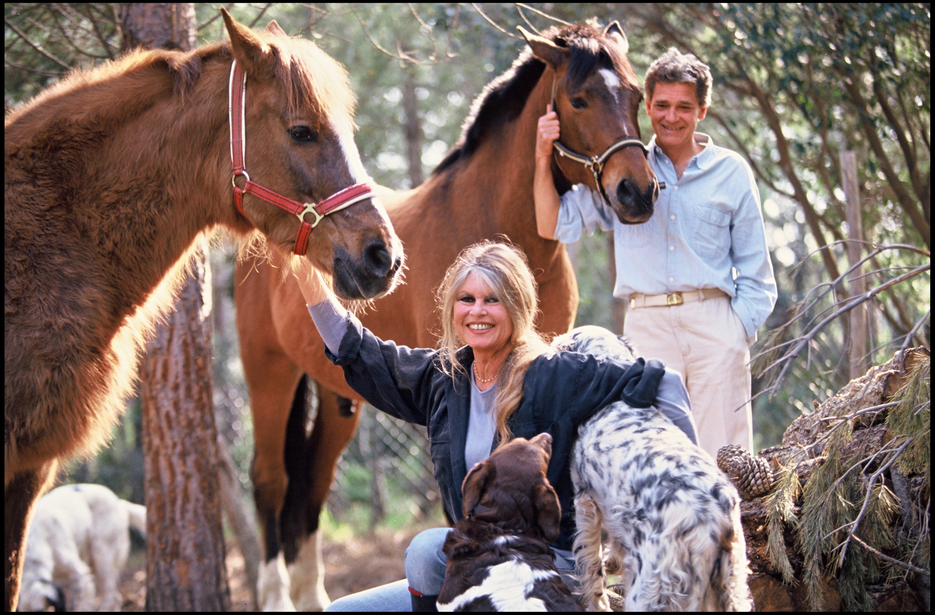Brigitte Bardot : son mari réclame « un secrétariat d'État à la cause animale » plutôt qu'un hommage national - Le Parisien