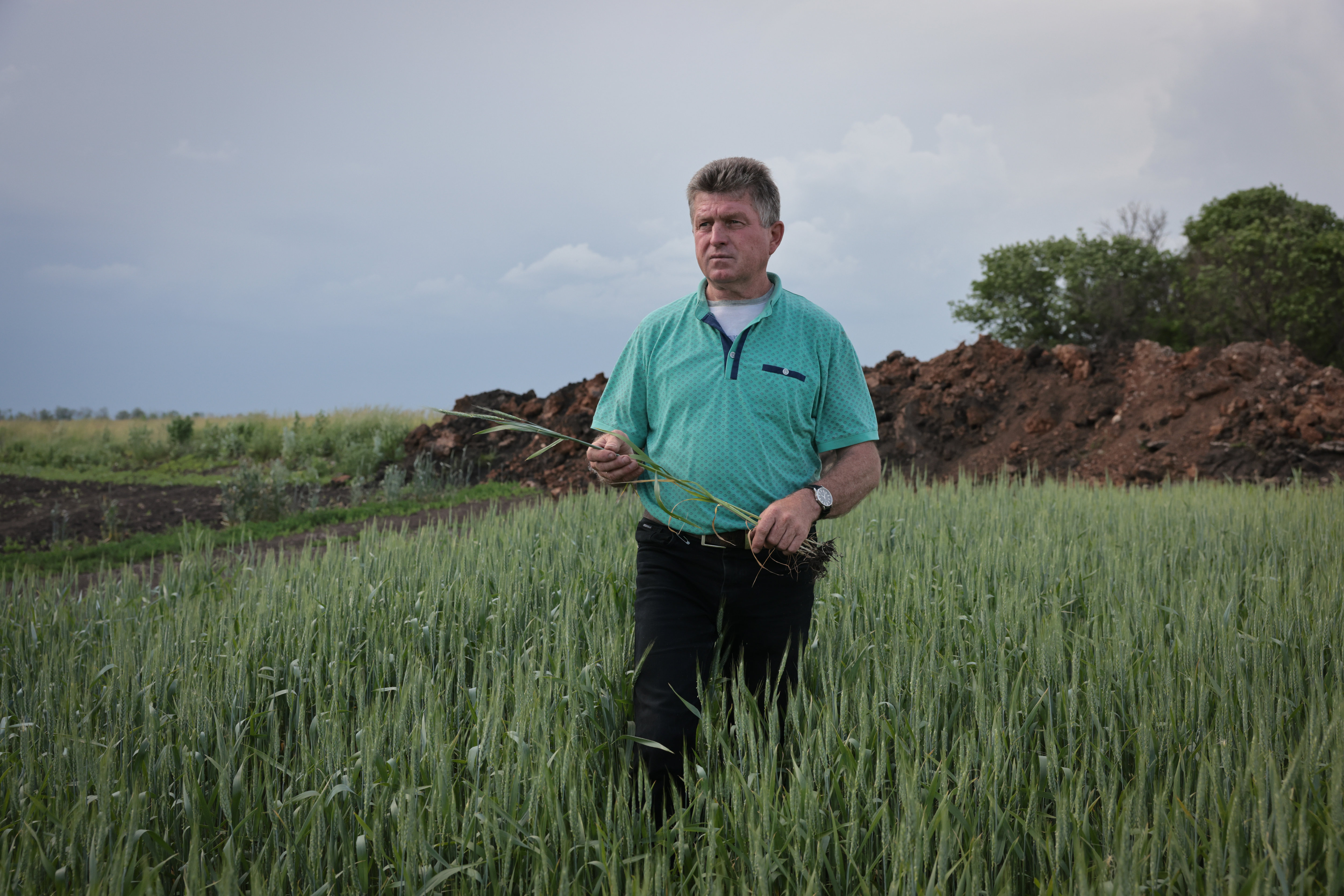 Pokrovsk (Ukraine), le 31 mai. Serguey cultive 706 hectares de blé. « Fin février-début mars, des roquettes ont atterri dans mes champs », raconte-t-il. LP/Philippe de Poulpiquet