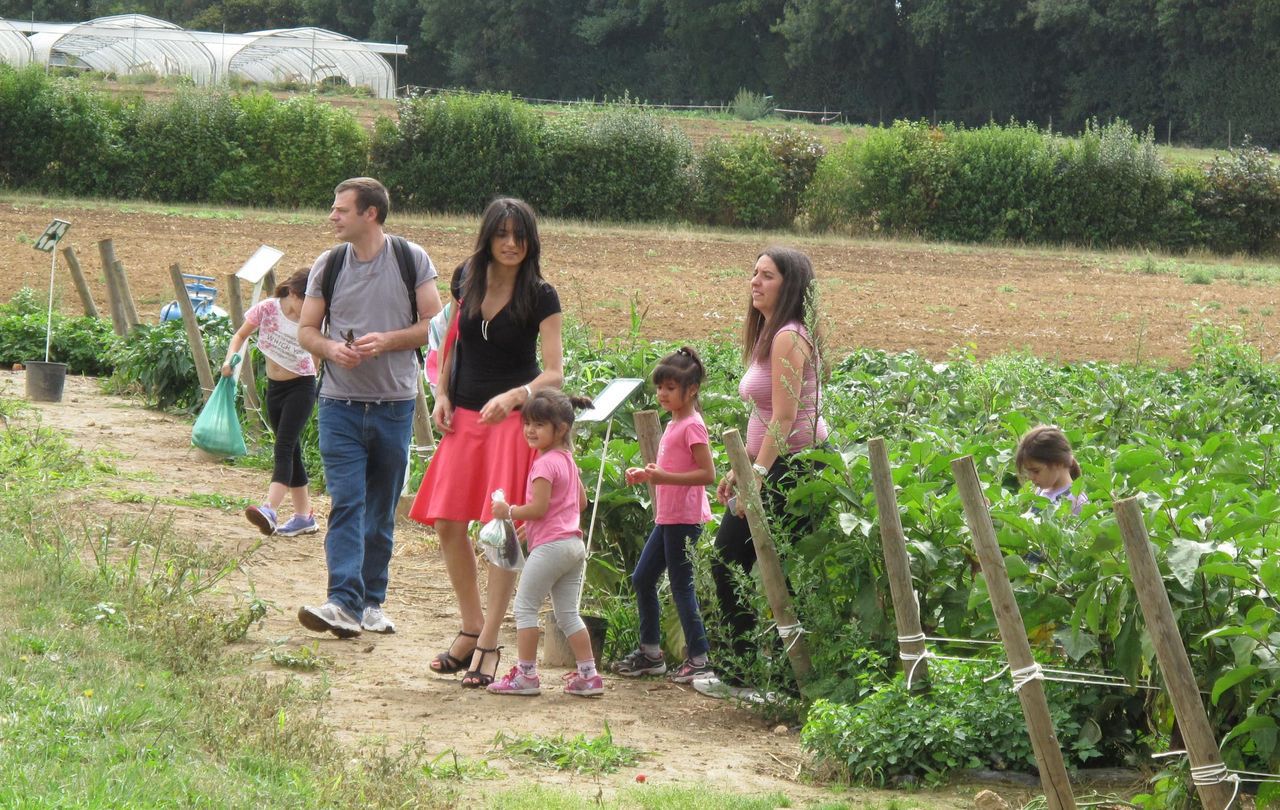 <b></b> Villenoy. Dès ce dimanche, les cueilleurs pourront se rendre à la ferme de Rutel le dimanche après-midi. LP/Gilles Cordillot