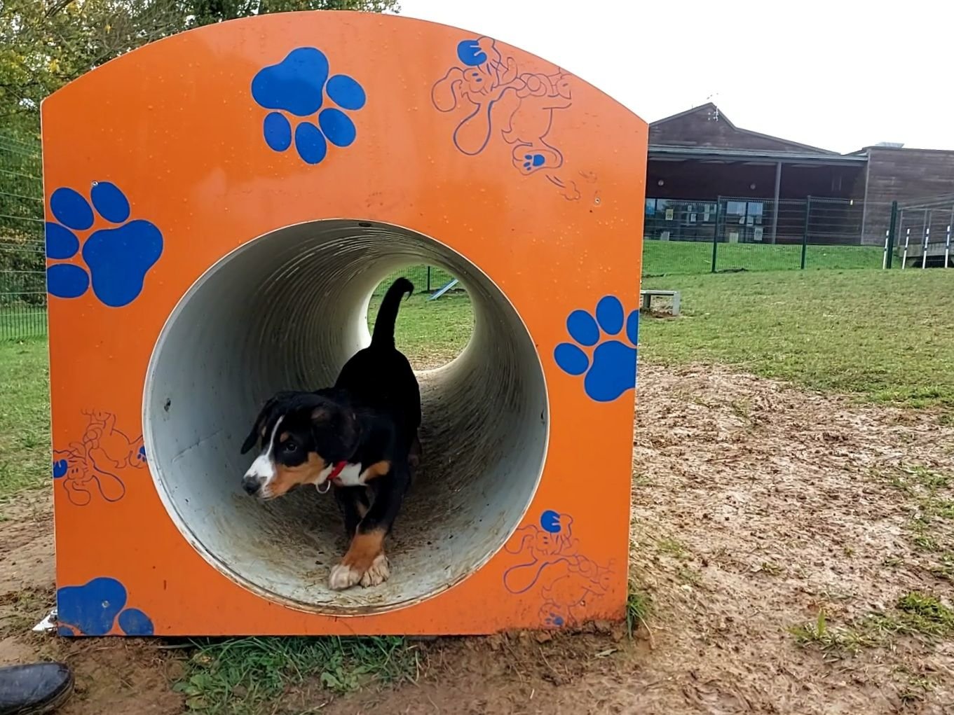 Inauguration du nouveau parc canin