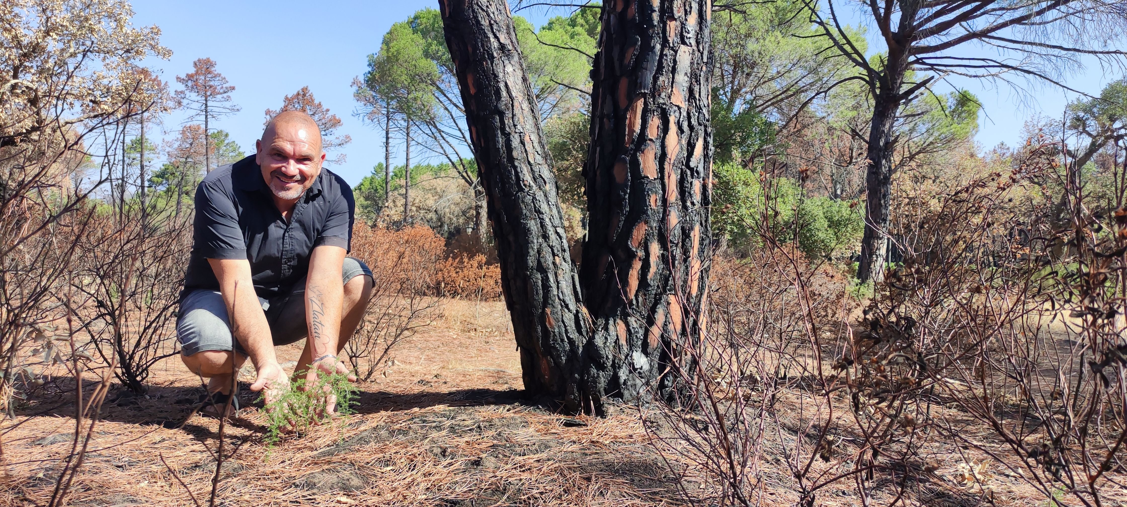 Vidauban (Var), le 22 juillet. Dans la maison de Léo, les premières pousses vertes apparaissent déjà après le grand feu de juin dernier. LP/Diane Andrésy