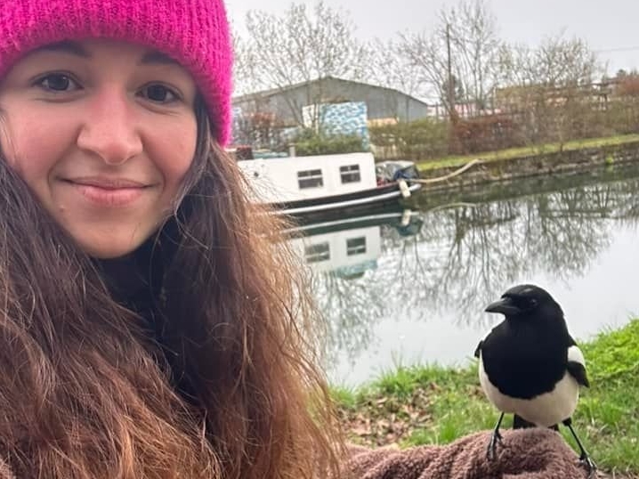 Nemours (Seine-et-Marne). La pie Piou-Piou enchante les habitants, comme Morgane, sur lesquels elle se pose naturellement de main en main. DR