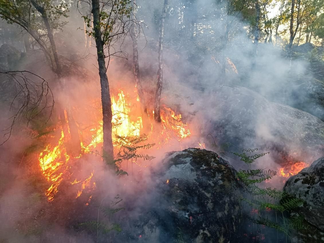 Barbizon, Seine-et-Marne, 28 mai 2023. Le feu signalé par un randonneur dimanche 28 mai, du côté de la Mare-aux-biches, a détruit 4,5 hectares de forêt. DR/Sdis77