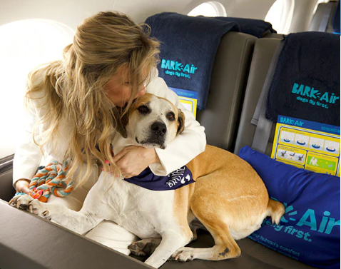 Lors de la réservation, les maîtres sont contactés par un concierge de Bark Air pour collecter des informations sur leur chien «pour offrir la meilleure expérience de voyage possible». Bark Air