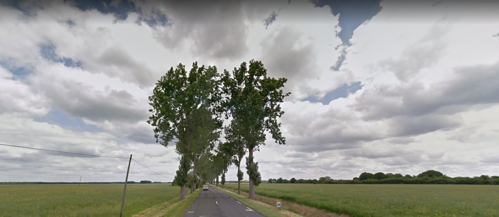 427 arbres seront remplacés sur la D988 entre Saint-Arnoult-en-Yvelines et Ablis à partir de ce lundi. Google Street View.