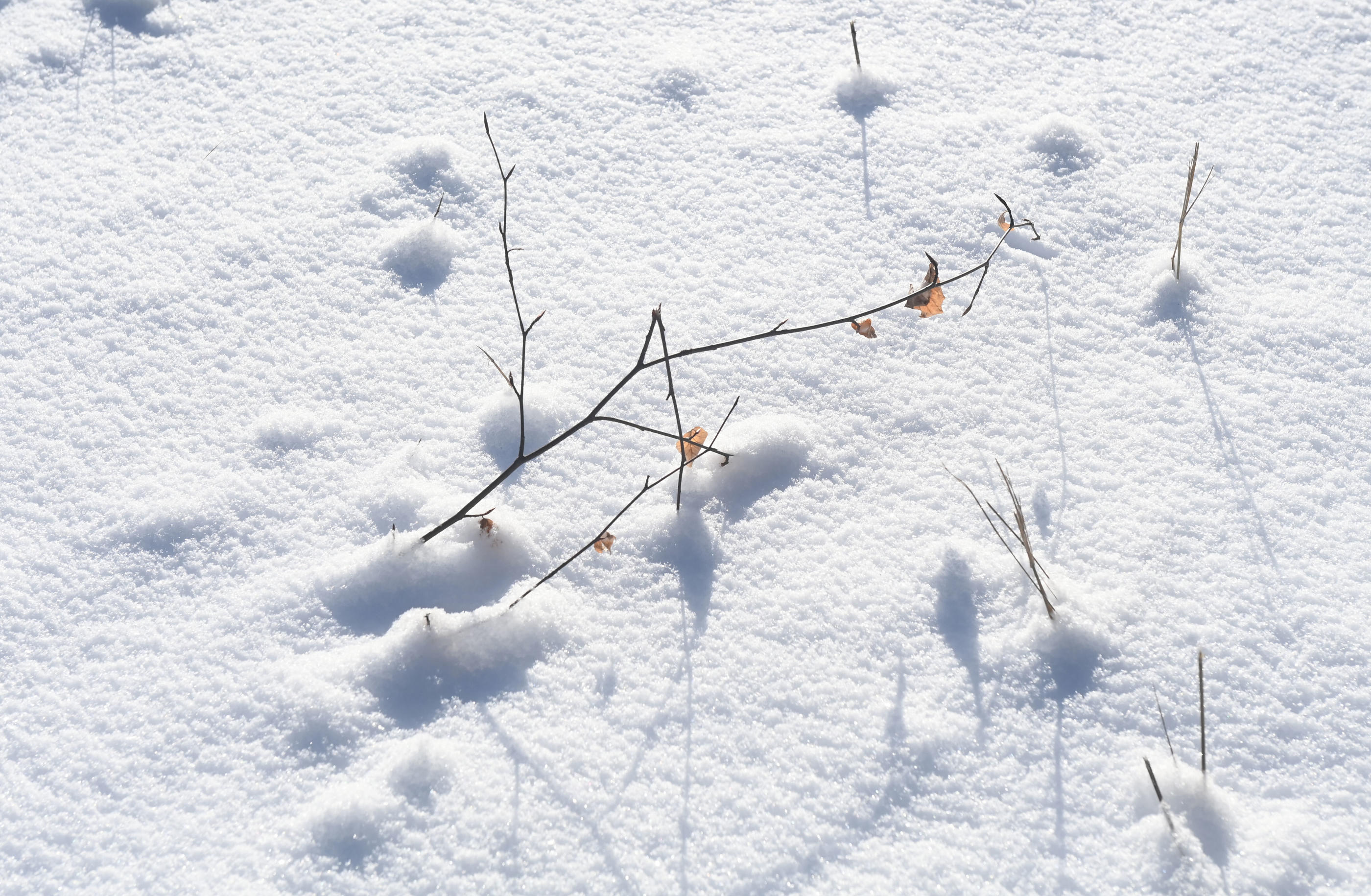En poudre, mouillée, humide ou fondante... La neige offre différentes textures selon les températures. Icon Sport/Ludek Perina
