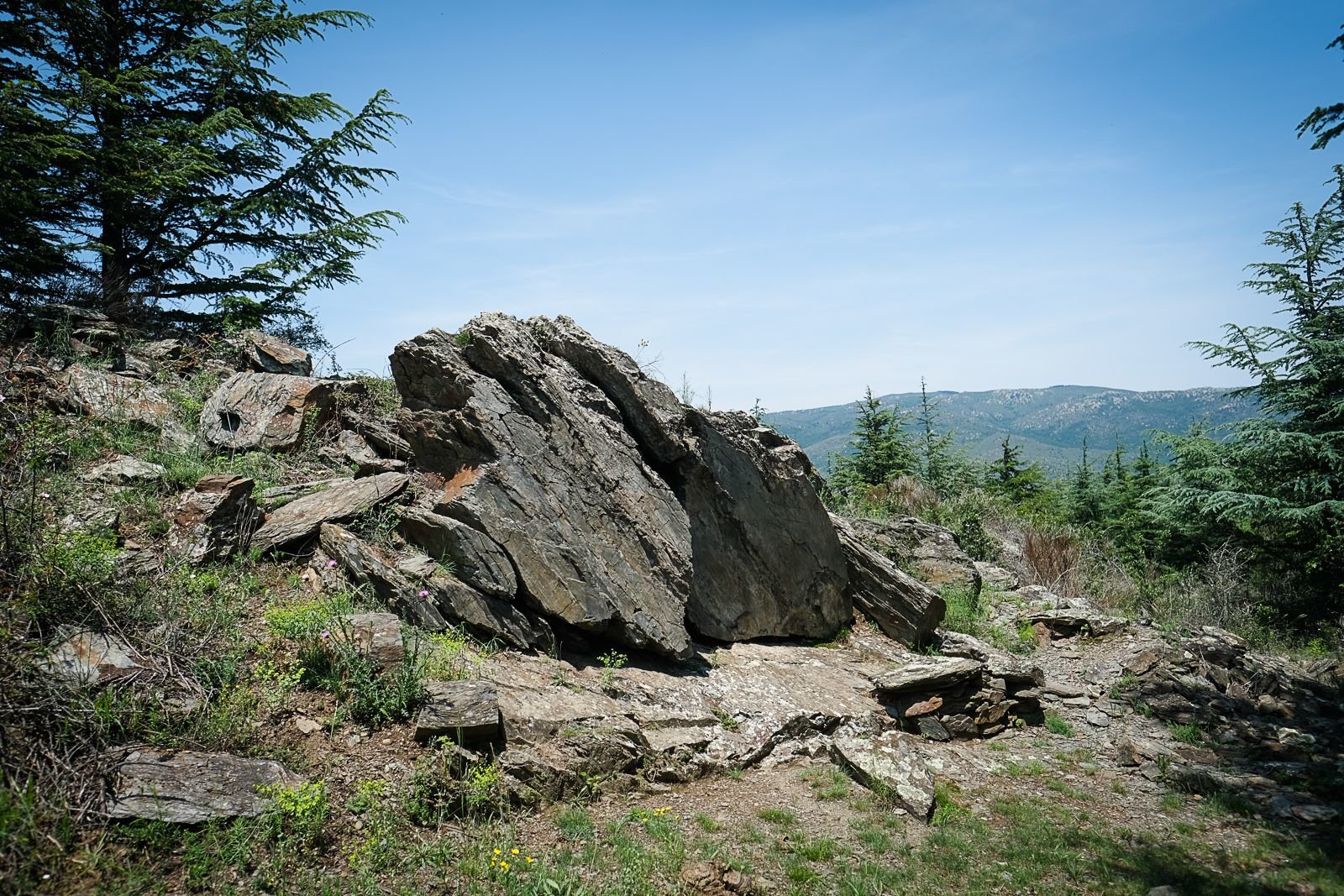 Protégée par une forêt, la roche n'est pas facile à trouver ! LP/Yann Kerveno