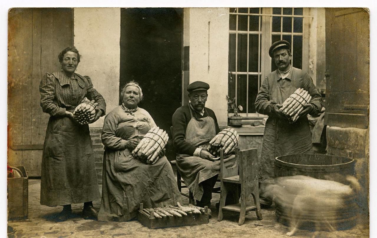 <b></b> Botteleurs à asperges dans une ferme. Photographie début du XXe siècle. 