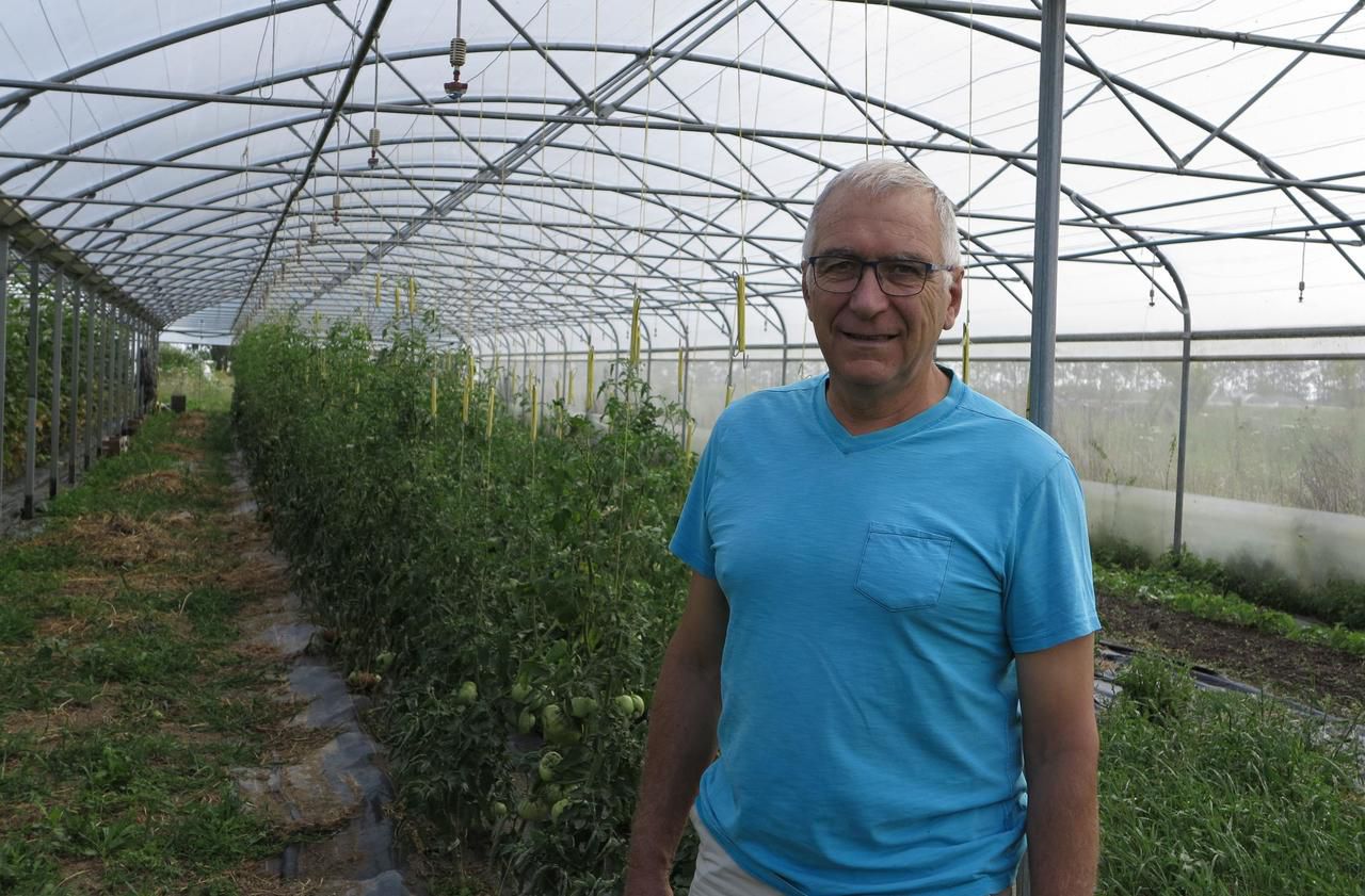 <b></b> Villenauxe-la-Petite, vendredi. Jean-Louis Colas, agriculteur depuis 40 ans, converti au bio en 2000, a créé la ferme Les Champs des possibles en 2009. 