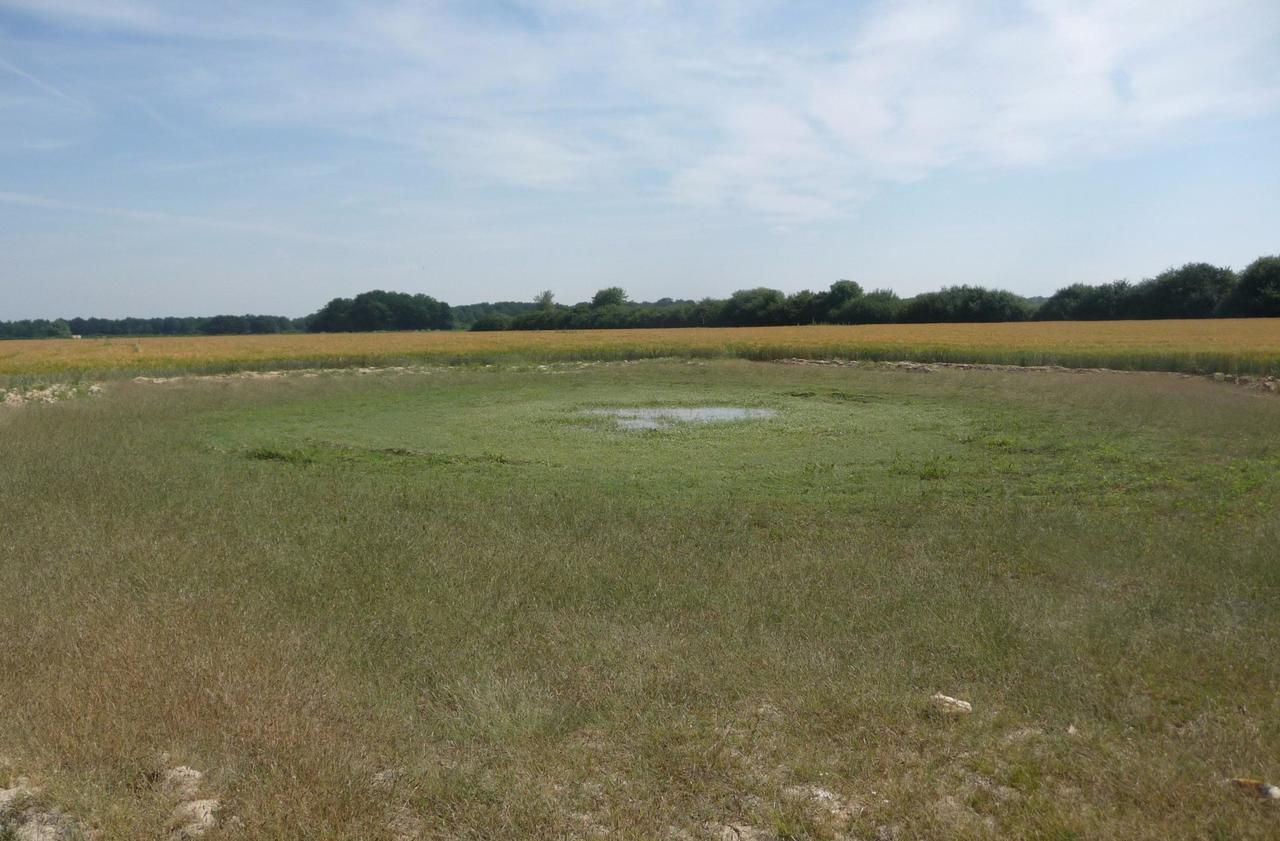 <b></b> Chevannes. La société nationale de protection de la nature organise prochainement une formation à Chevannes pour donner les clés nécessaires au public afin de participer à l’inventaire des mares d’Ile-de-France. 