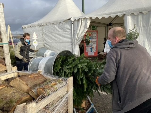Buchelay (Yvelines), mercredi 1er décembre 2021. En une semaine, déjà 200 sapins ont été vendus sur le parking du supermarché Auchan. LP/Mélissa Prou