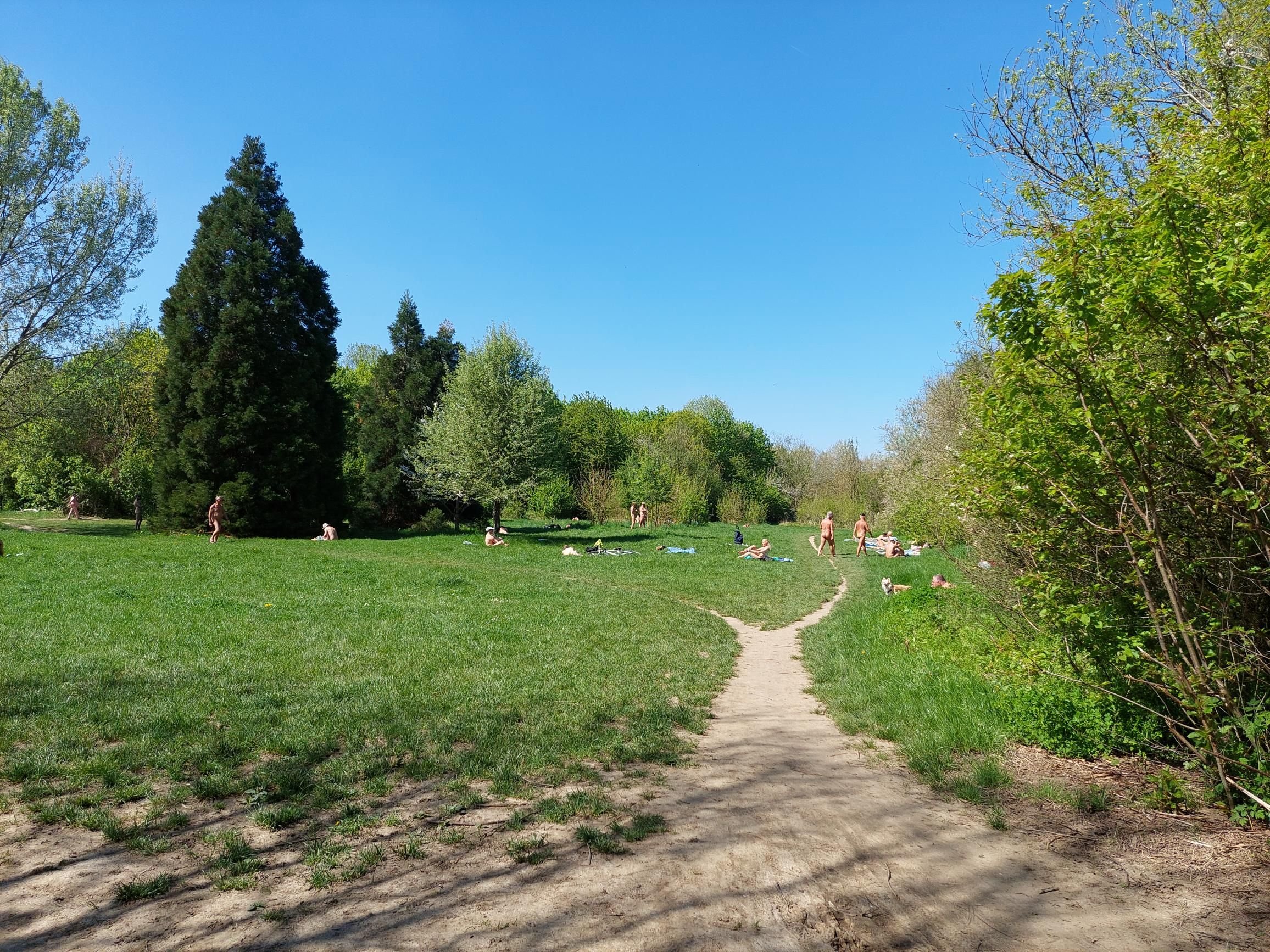 Les abords de la zone naturiste du bois de Vincennes sont devenus un haut lieu de rencontre gay «où, toute l'année, on peut consommer immédiatement sur place en pleine journée», indiquent plusieurs habitués. LP/E.S. (Archives)